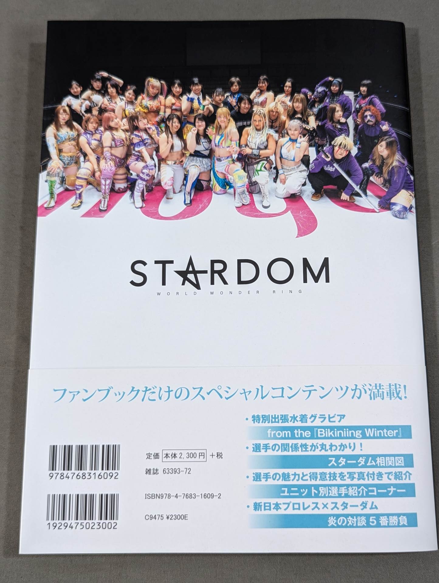 STARDOM FANBOOK