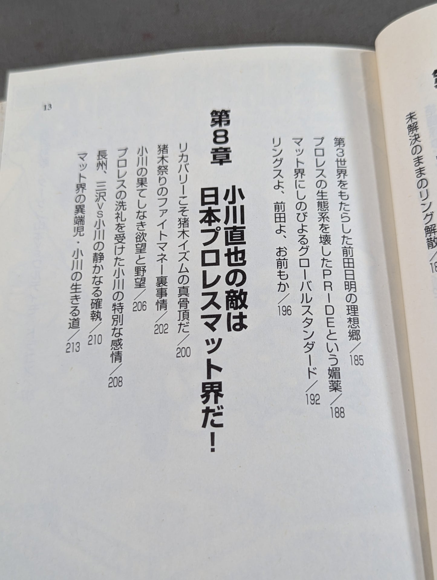 プロレスvs格闘技 カリスマ大戦争