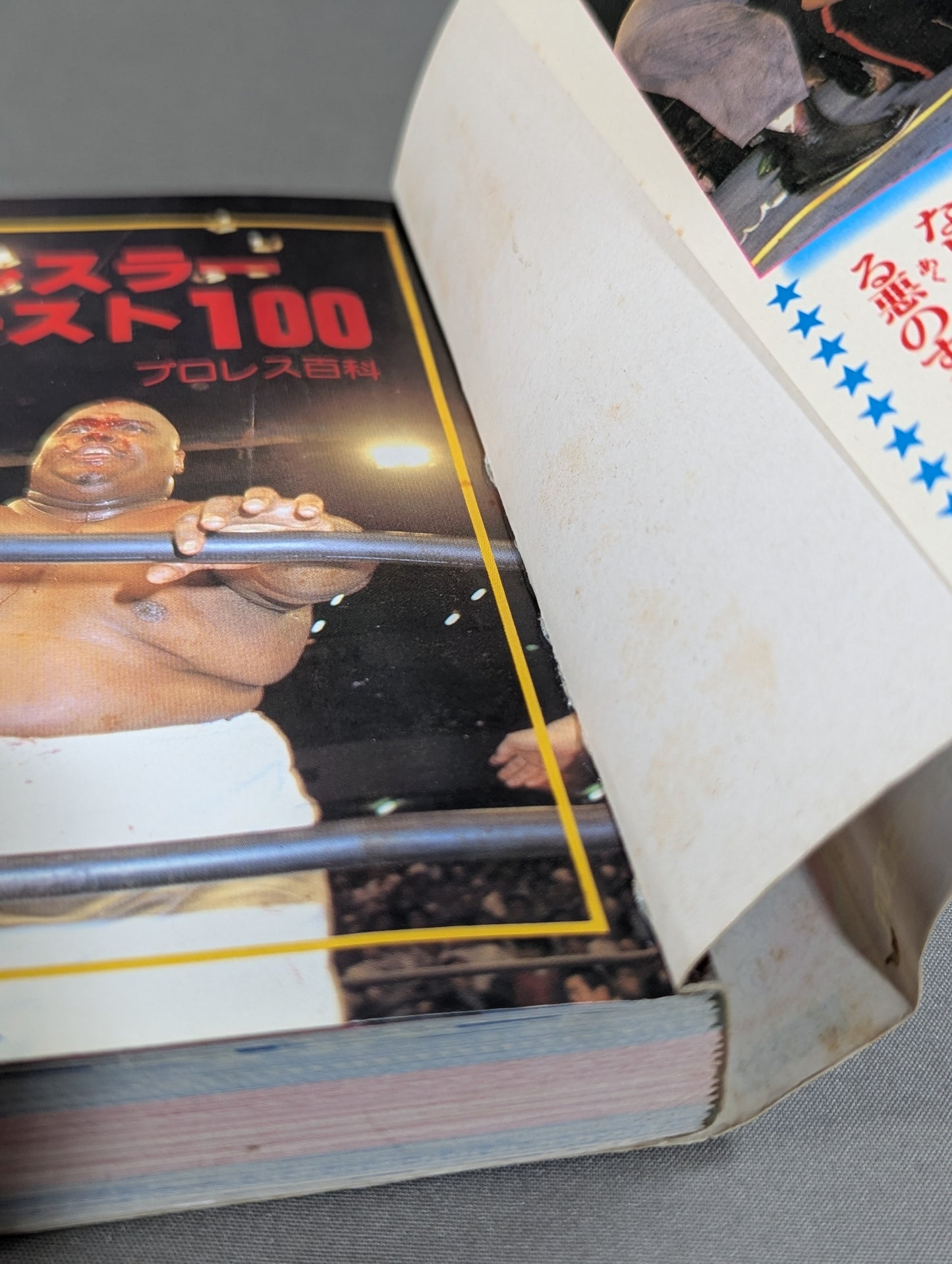 プロレス百科 悪役レスラー ワースト100