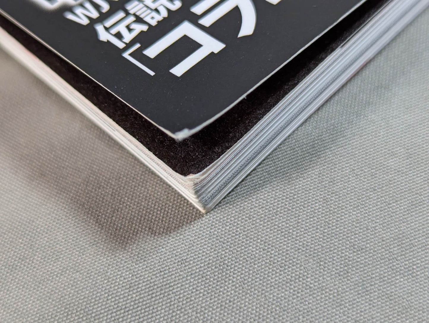 Series Paradoxical Pro Wrestling Vol.21 Pro Wrestling frenzy "promotion competition" Light and Shadow