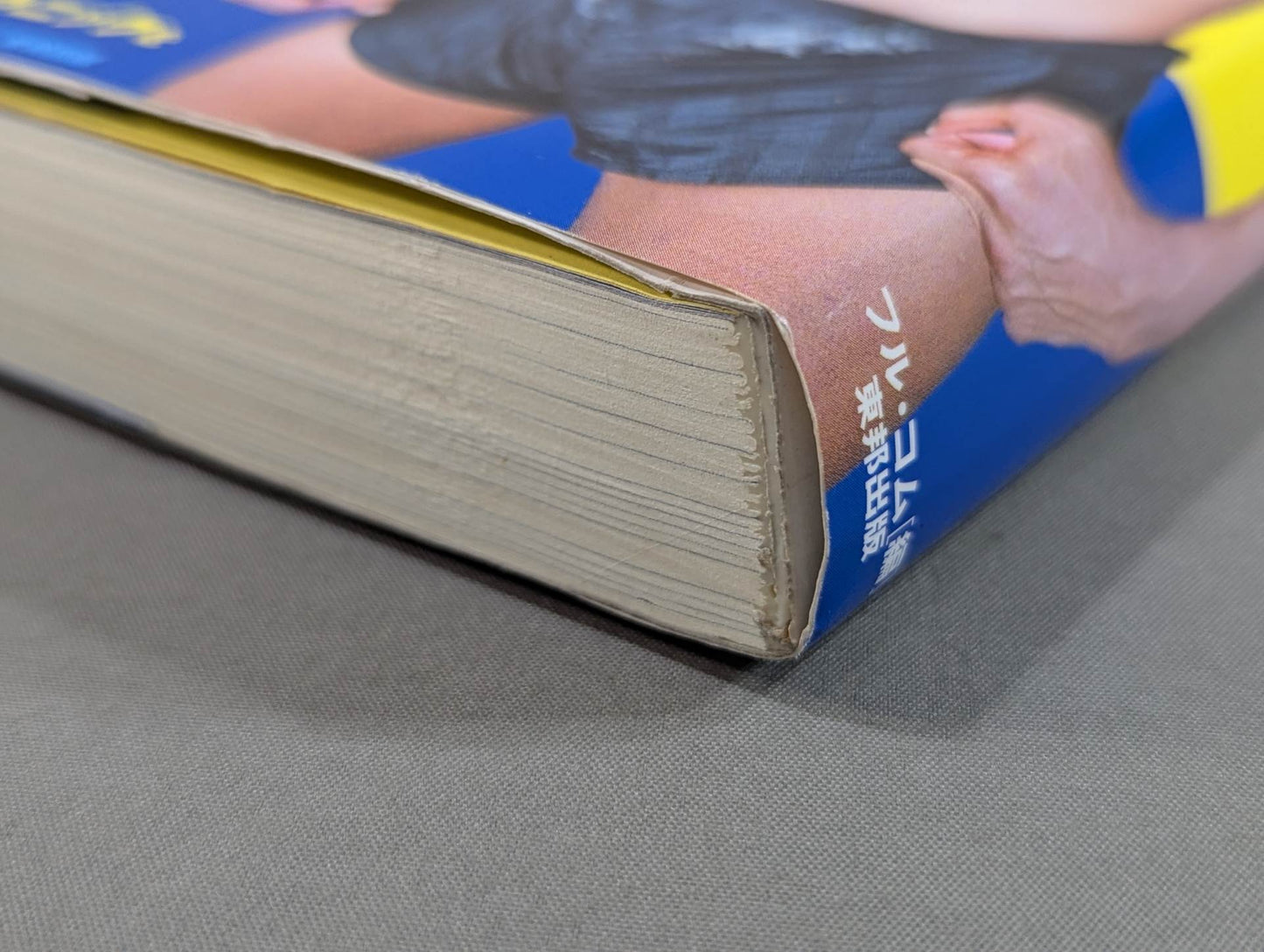 【DVD付】ムエタイに関してはこの本が最高峰!