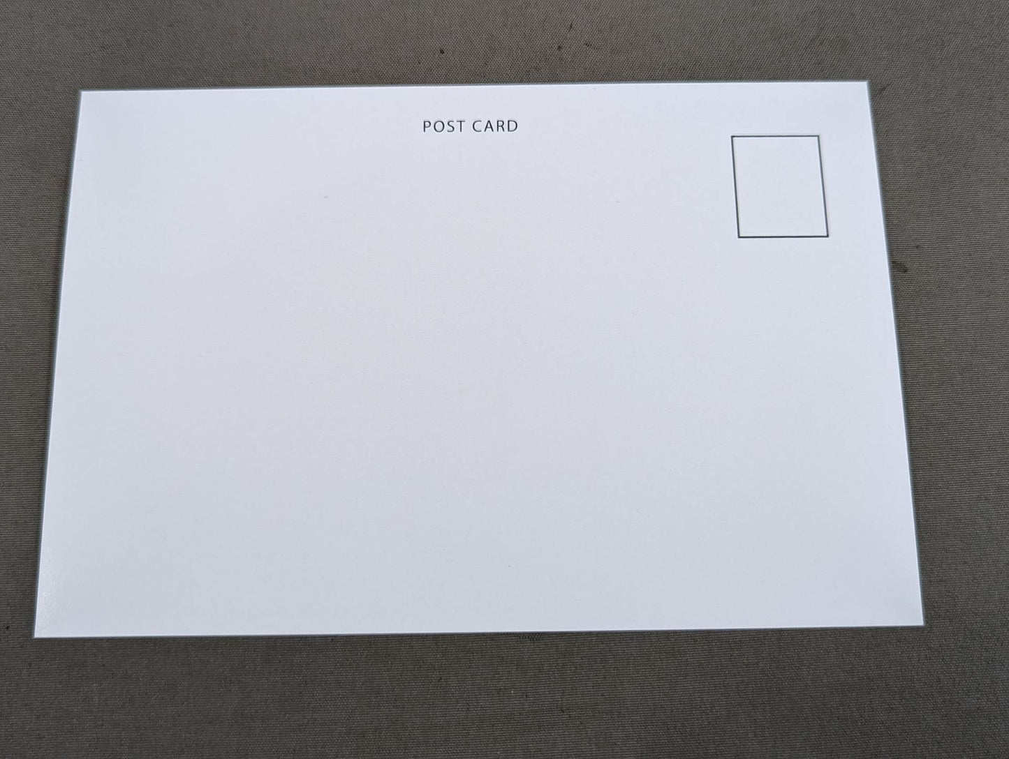 【特典ポストカード付】引きこもりでポンコツだった私が女子プロレスのアイコンになるまで