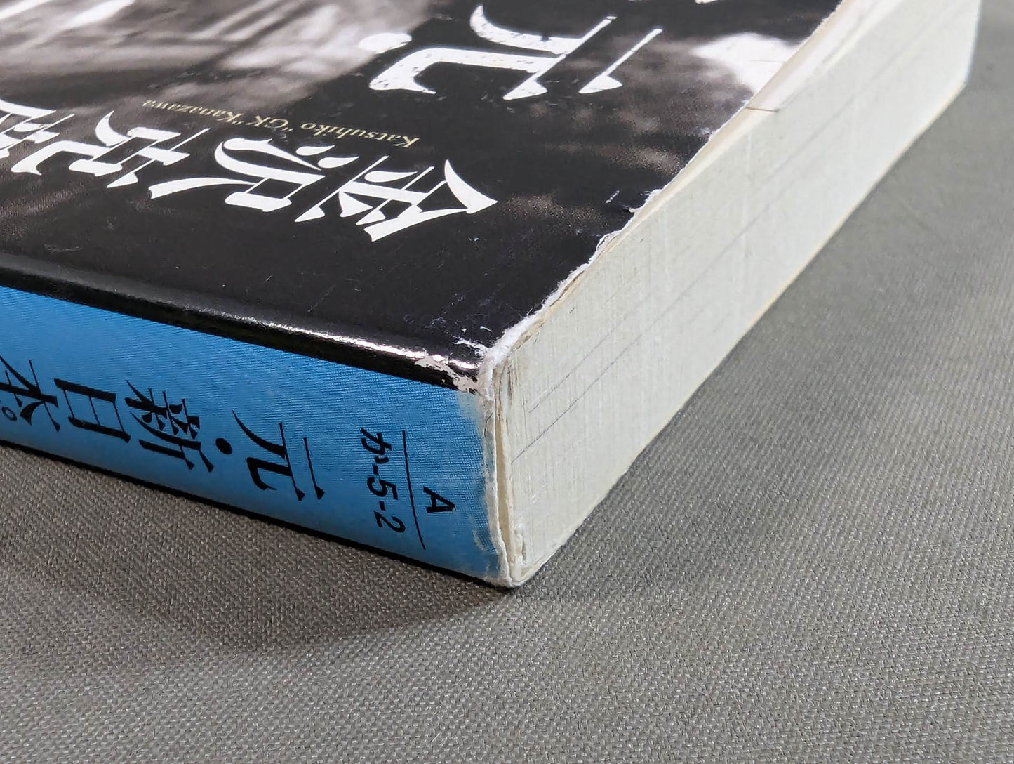元・新日本プロレス「人生のリング」を追って