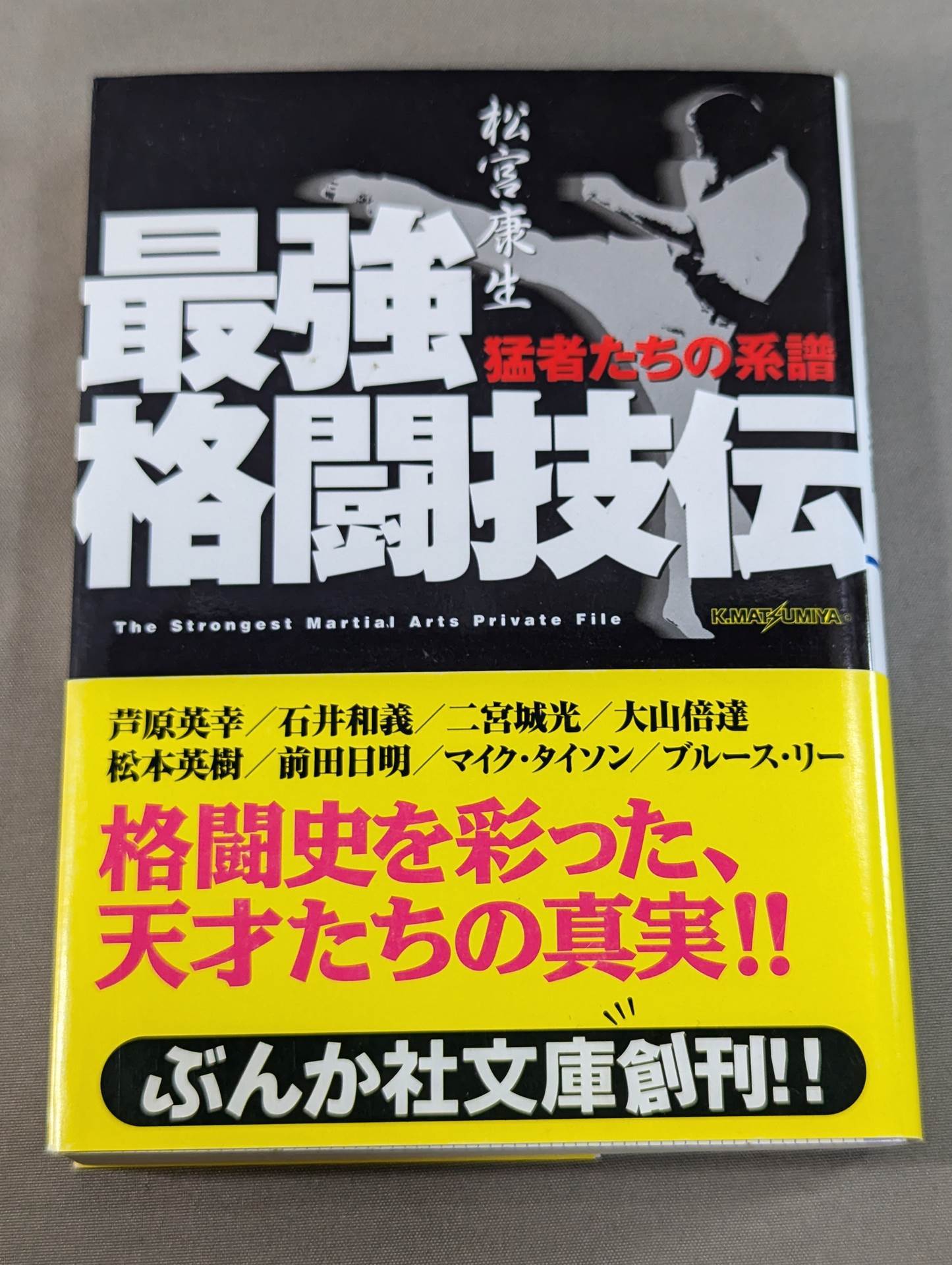 最強格闘技伝 ~猛者たちの系譜