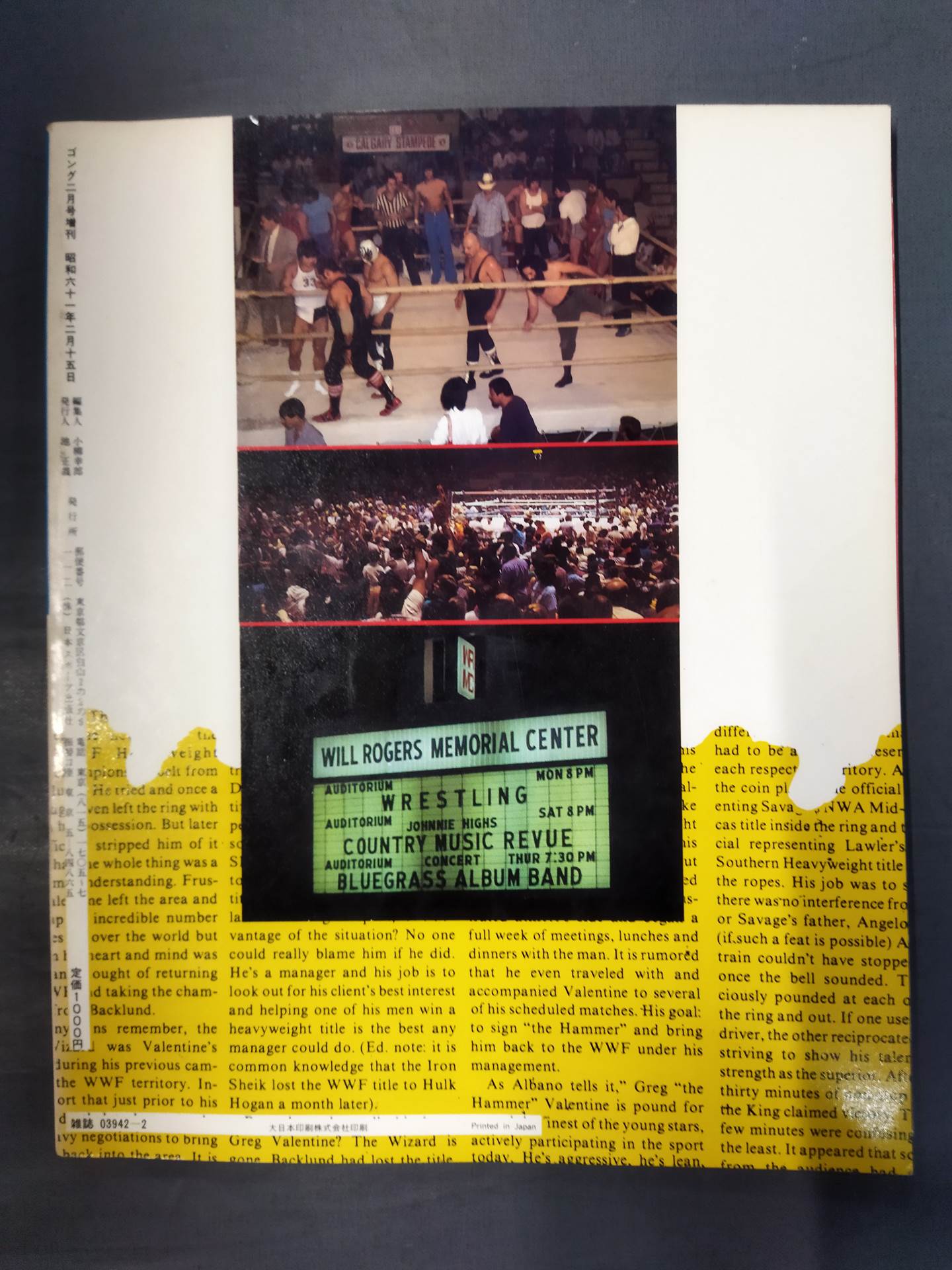 Gong Special Issue 86 Pro Wrestling All-Star SUPER Catalog