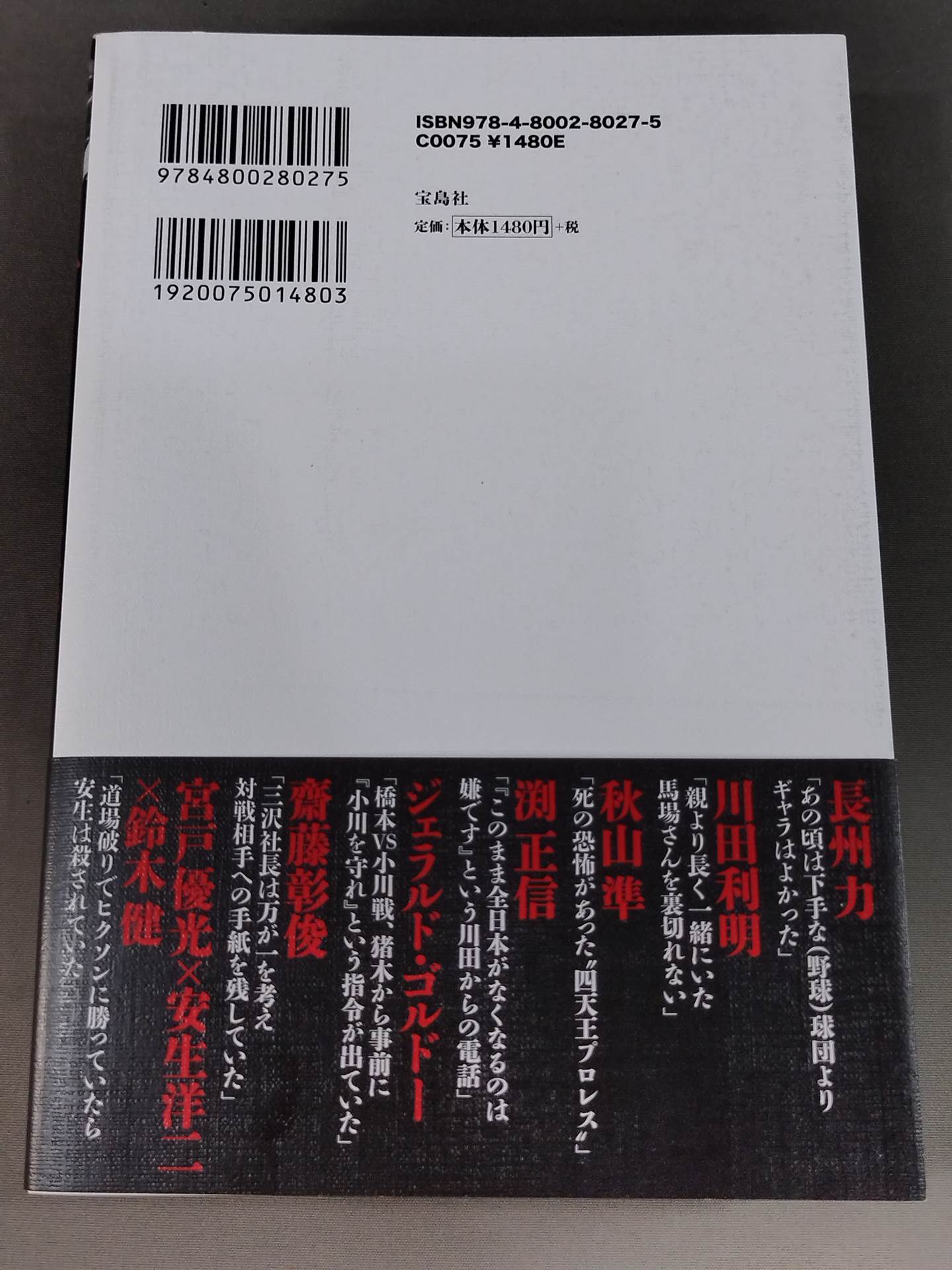 Confession Heisei Pro Wrestling 10 Major Incidents The Last Truth