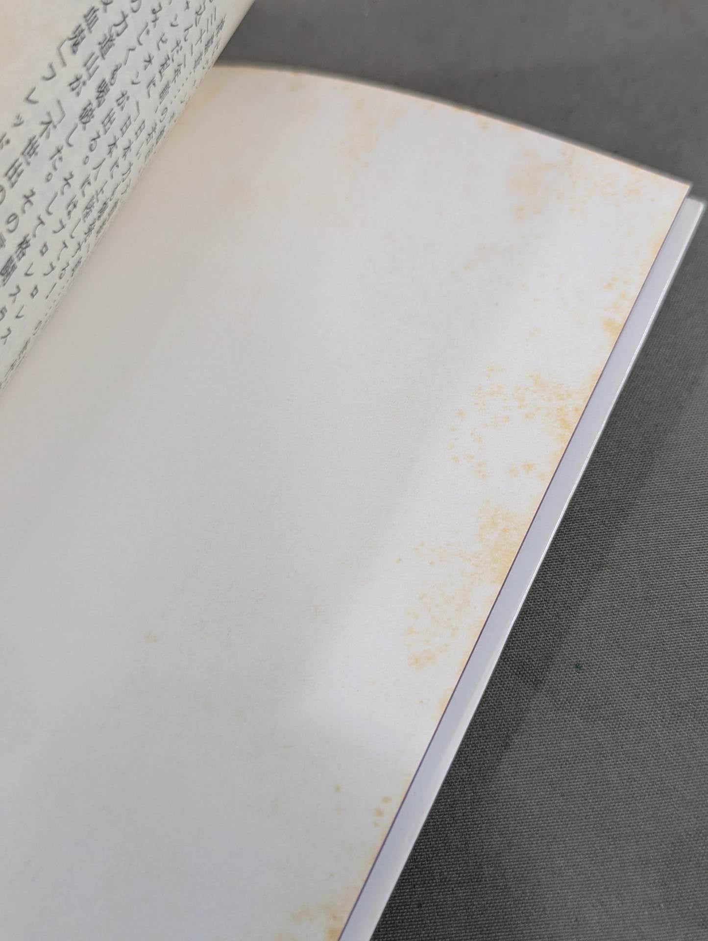 Shoichi Suzuki's History of Japan Pro Wrestling, Part II: The Second Golden Age