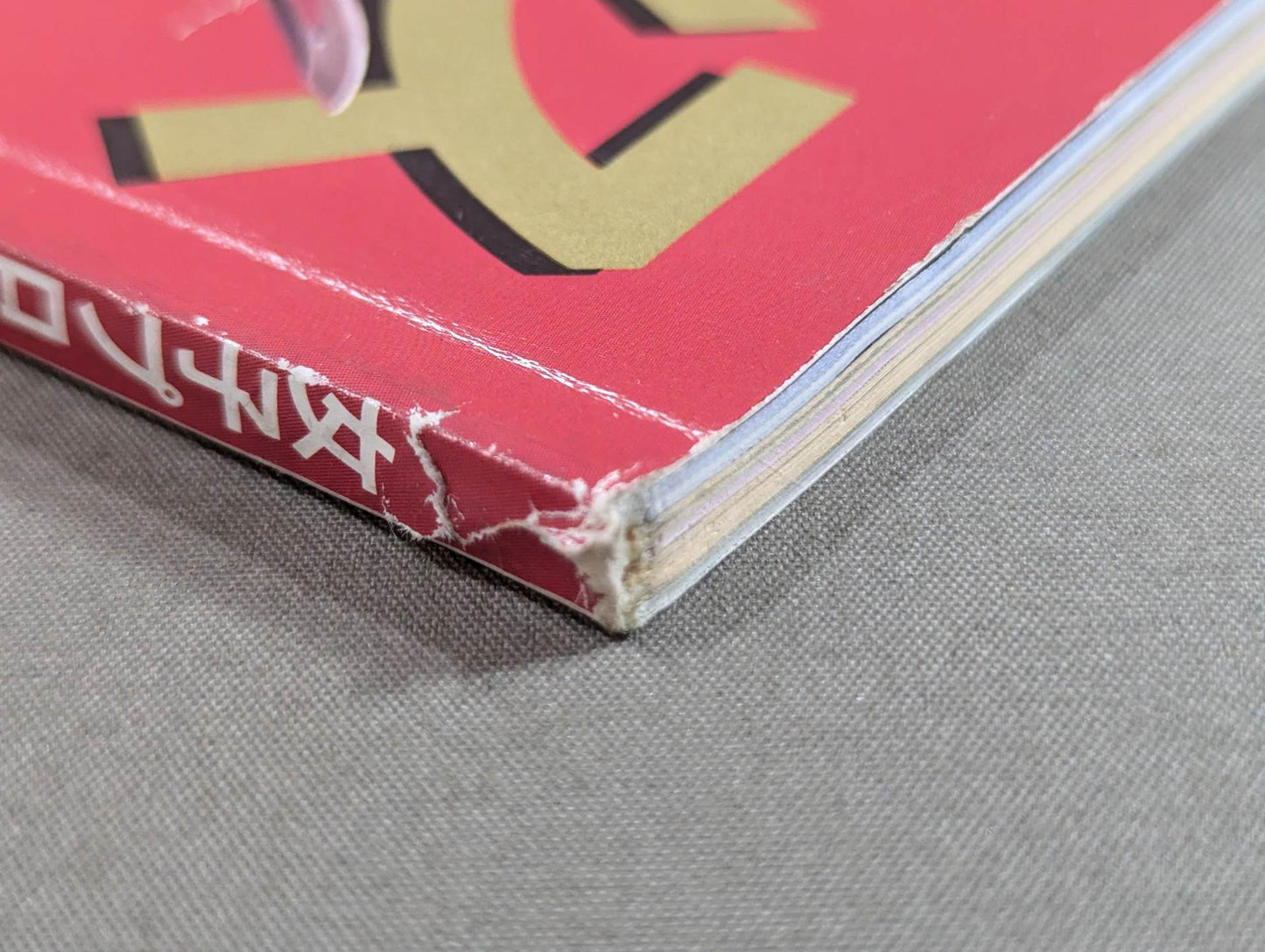 Women's Pro Wrestling SUPER BOOK! Akira Hokuto ~ Mexico Exclusive Close-up