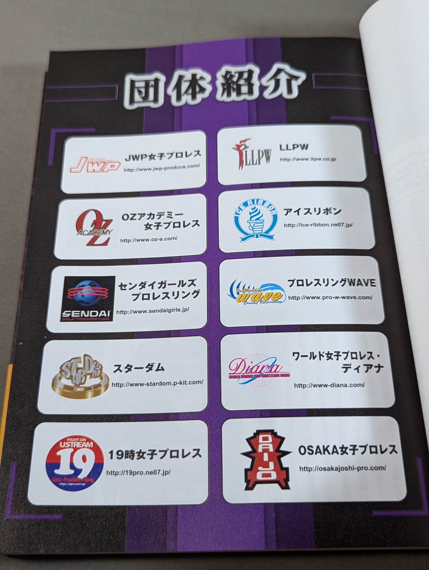 Goddess Retsuden Women's Pro Wrestling Perfect Guide 1950~2011