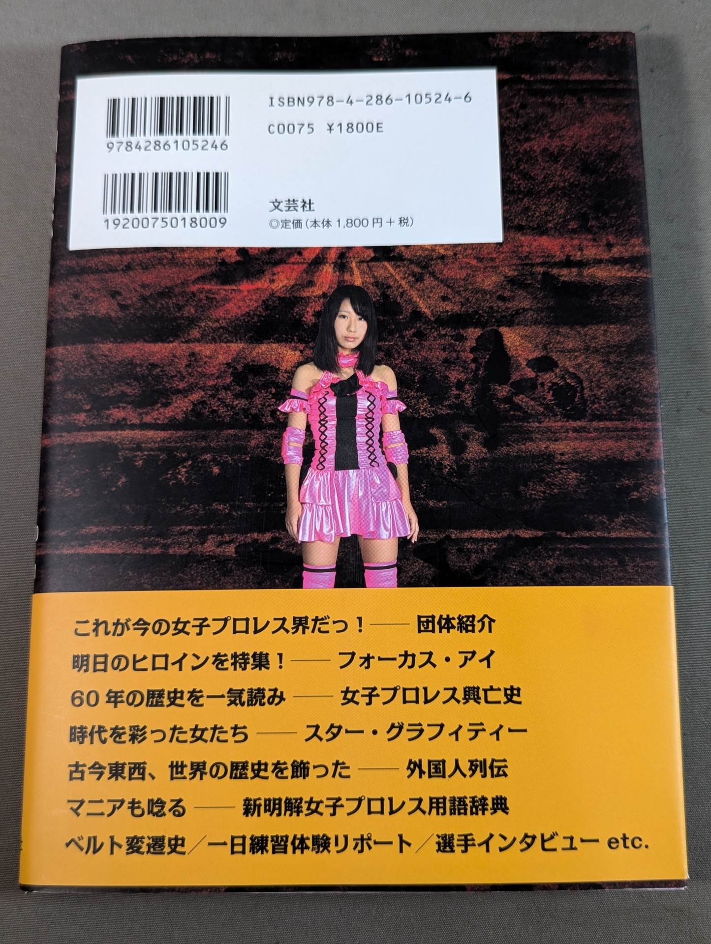 Goddess Retsuden Women's Pro Wrestling Perfect Guide 1950~2011