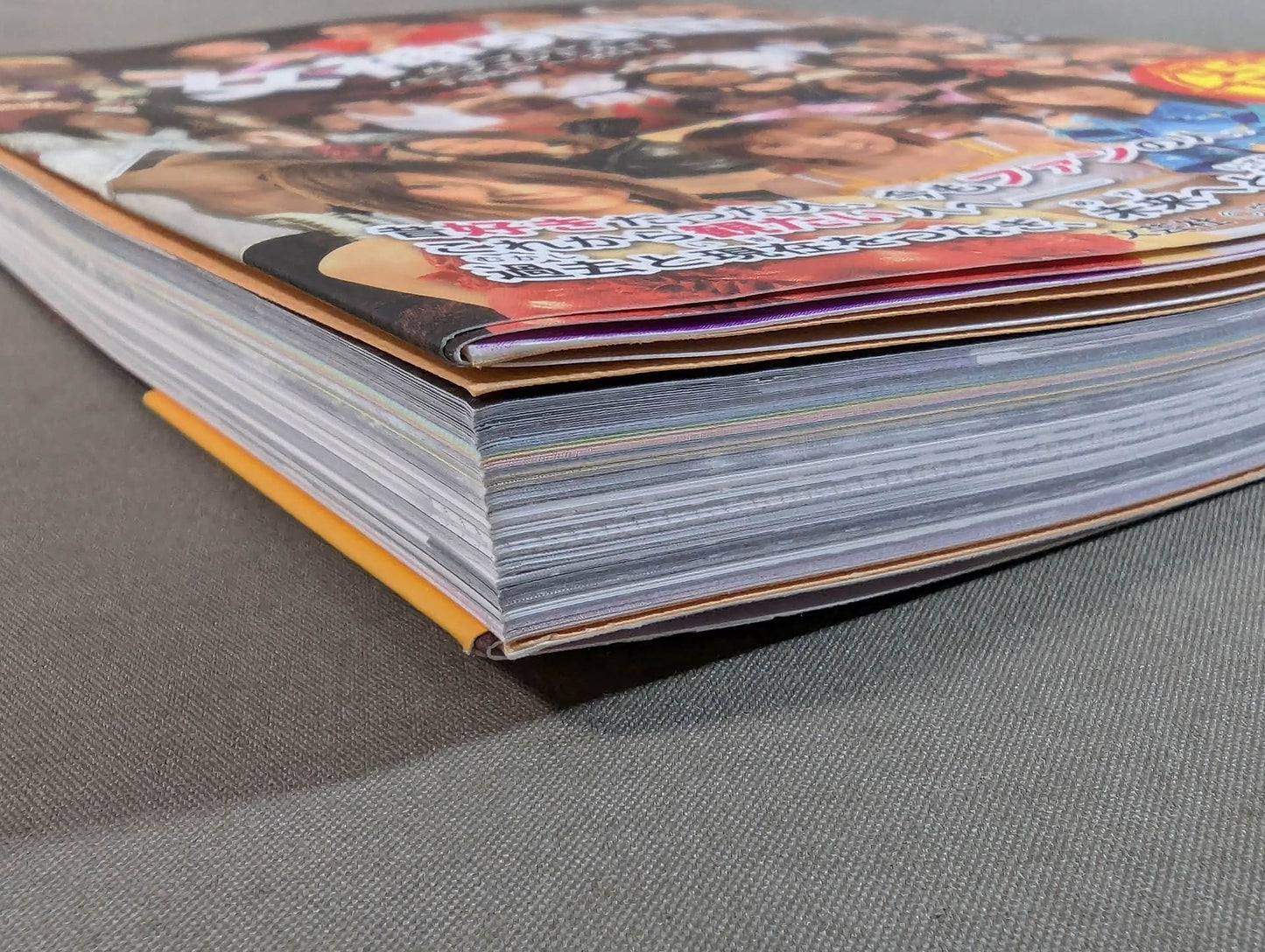 Goddess Retsuden Women's Pro Wrestling Perfect Guide 1950~2011