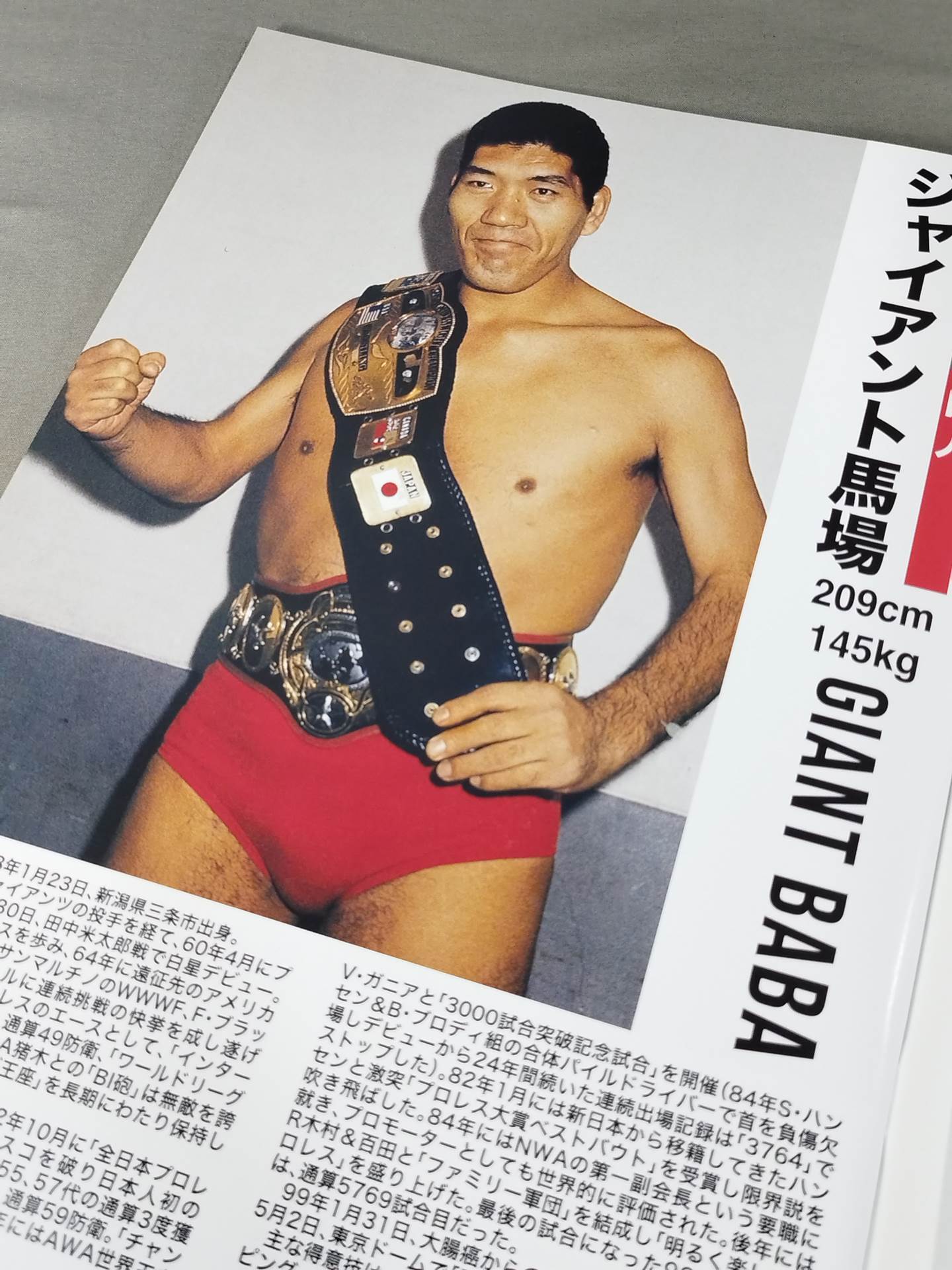 Giant Baba DAYS Japan fighters directory