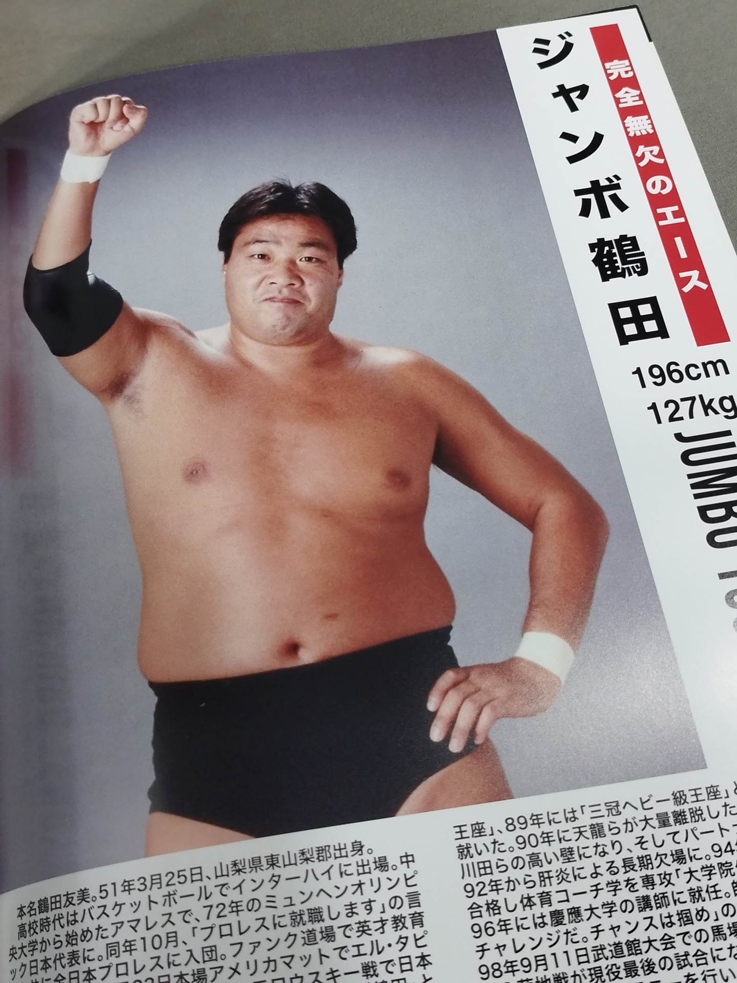 Giant Baba DAYS Japan fighters directory