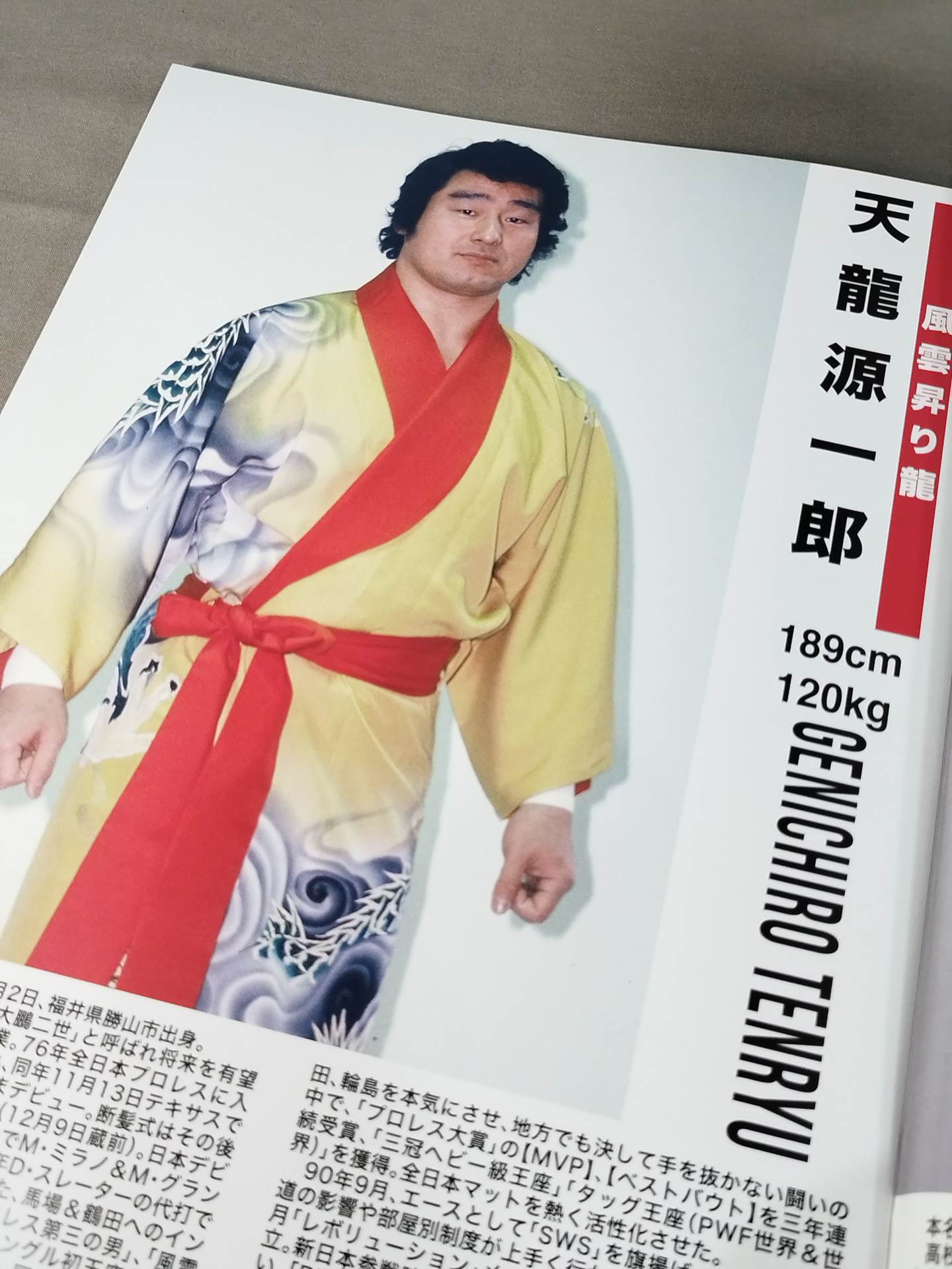 Giant Baba DAYS Japan fighters directory