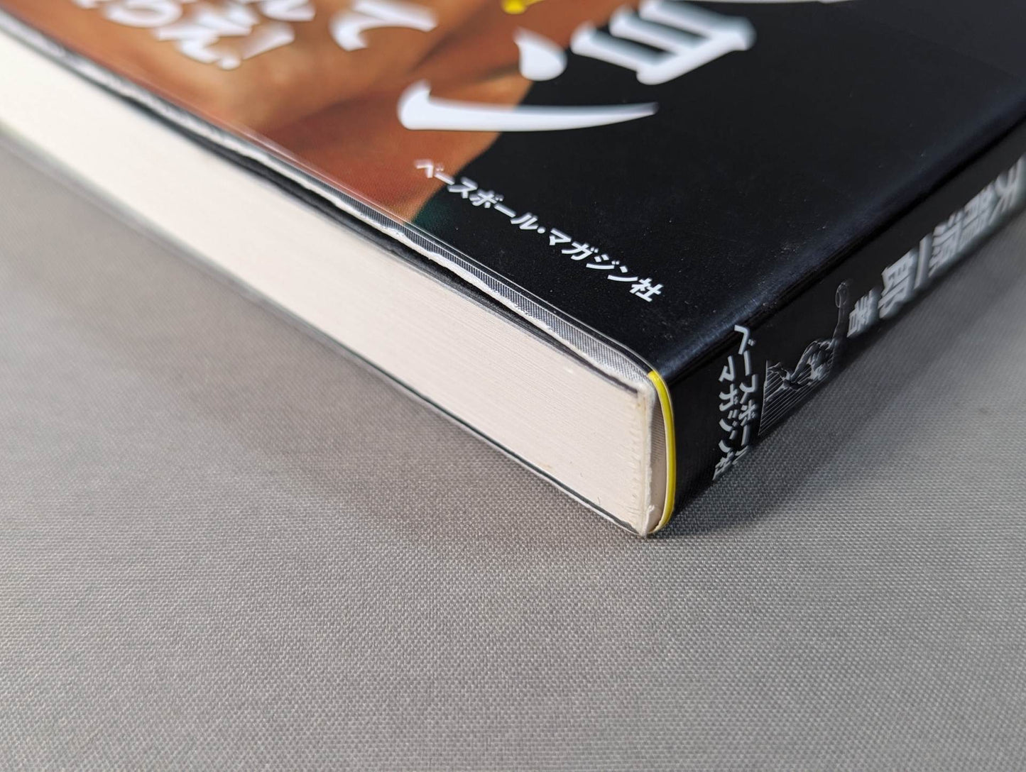 Tenryu Genichiro Autobiography Revolution