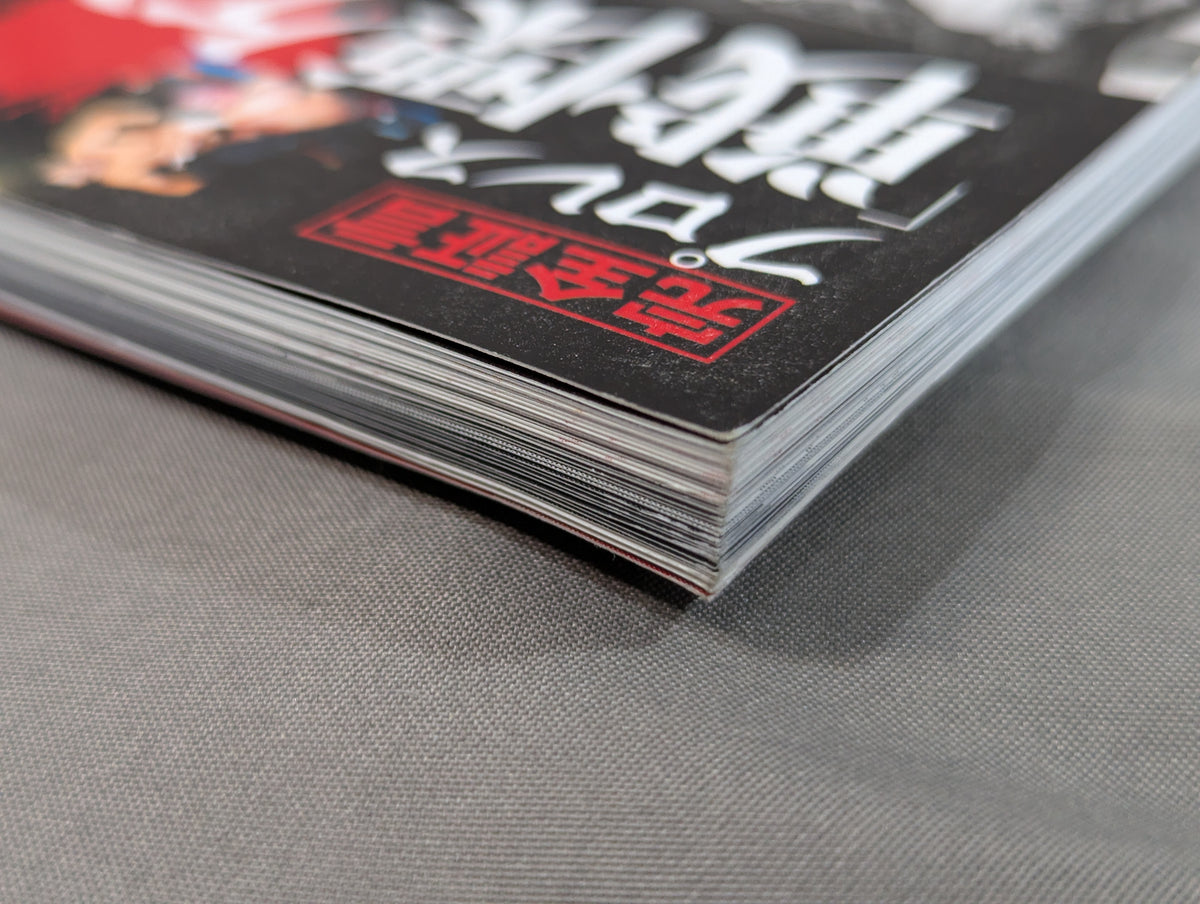 シリーズ 逆説のプロレス Vol.20 完全証言 プロレス「戦慄ケンカマッチ」血の掟