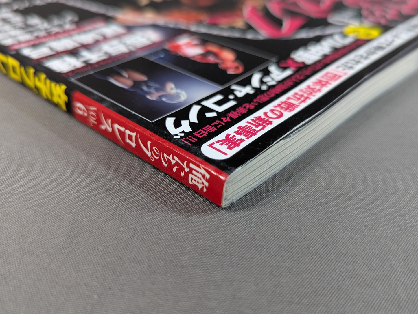 俺たちのプロレス Vol.6 女子プロレスあの頃と今 14名の証言によって明かされた「団体対抗戦の新事実」