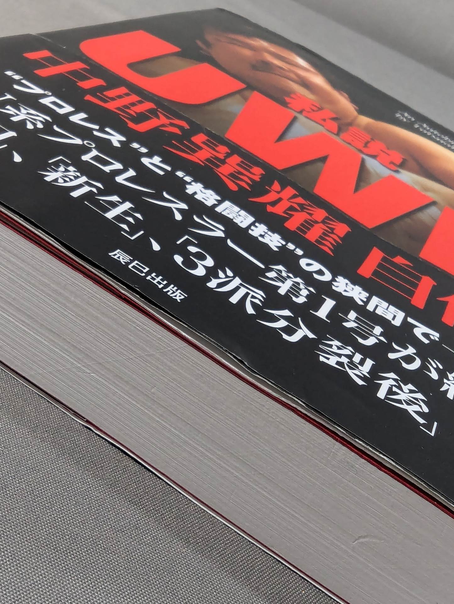 私説UWF 中野巽耀自伝