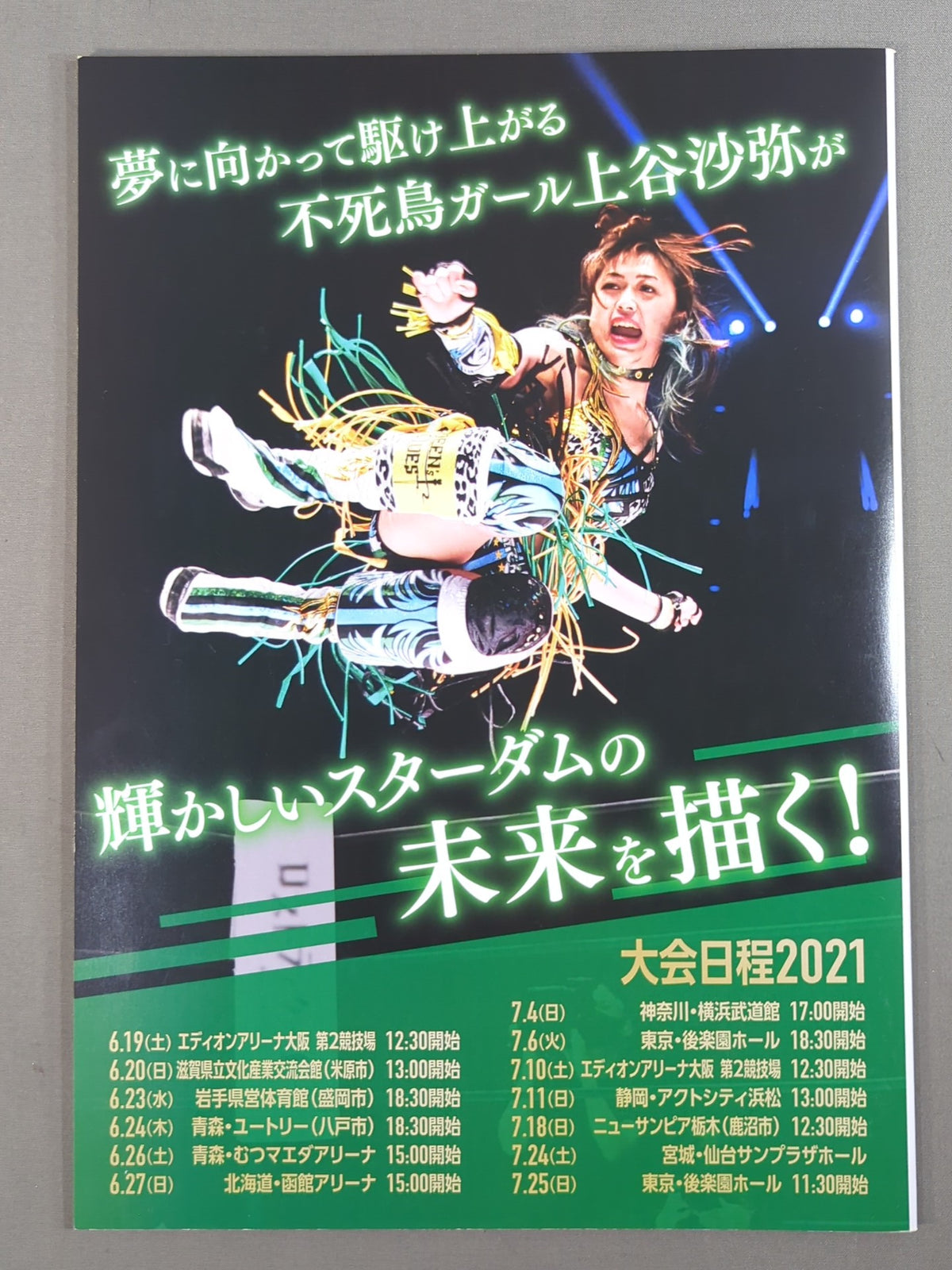 STARDOM OFFICIAL GUIDE BOOK Vol.136