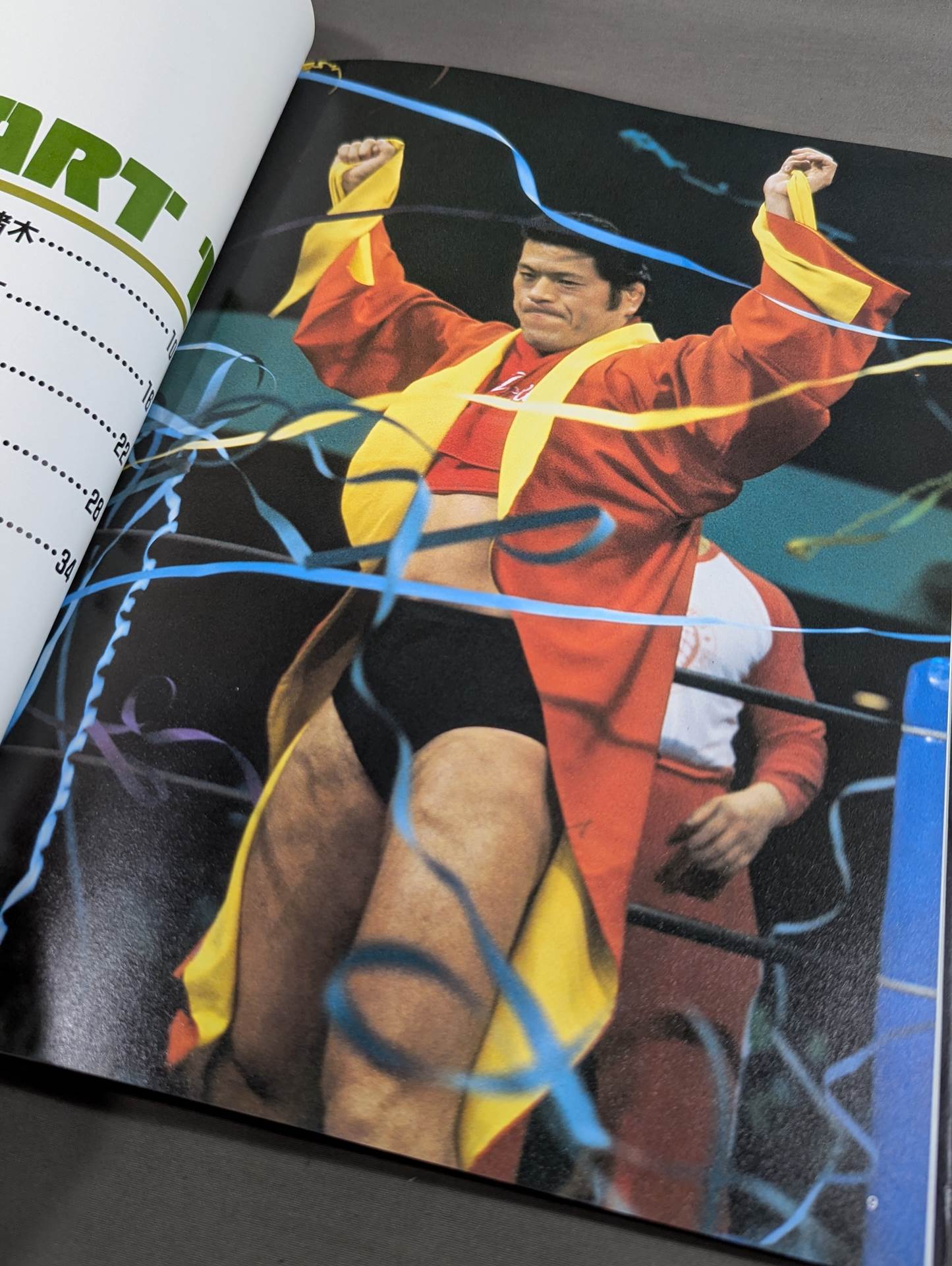 ザ・スーパー・ファイター THE SUPER FIGHTER