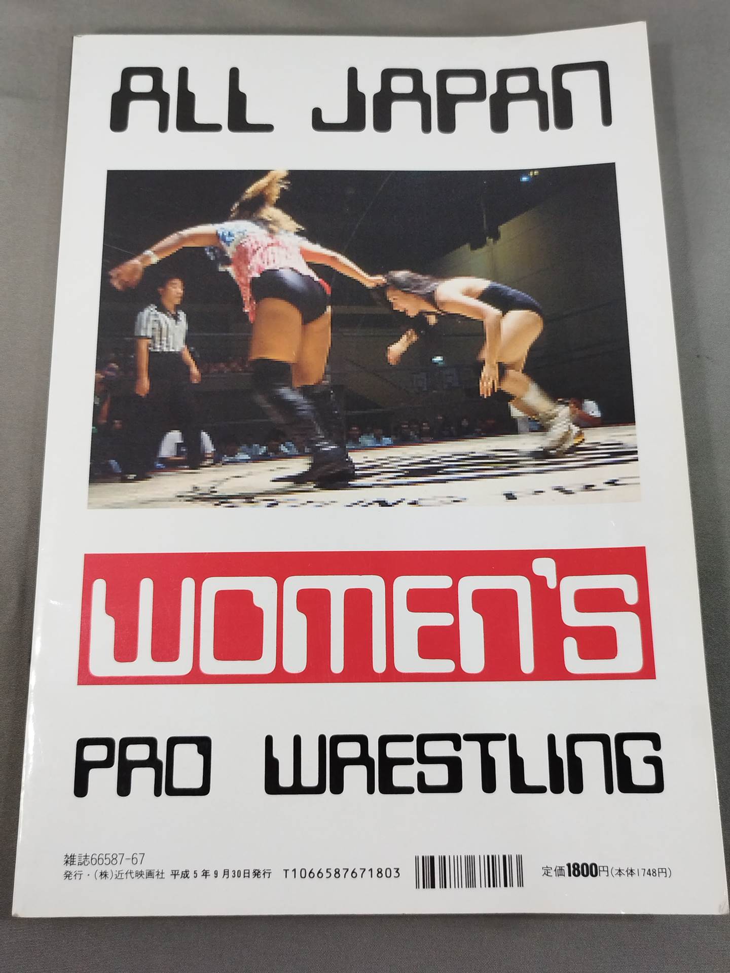 Deluxe Modern Movies All Japan Women\'s Pro Wrestling 25th Anniversary Special Issue