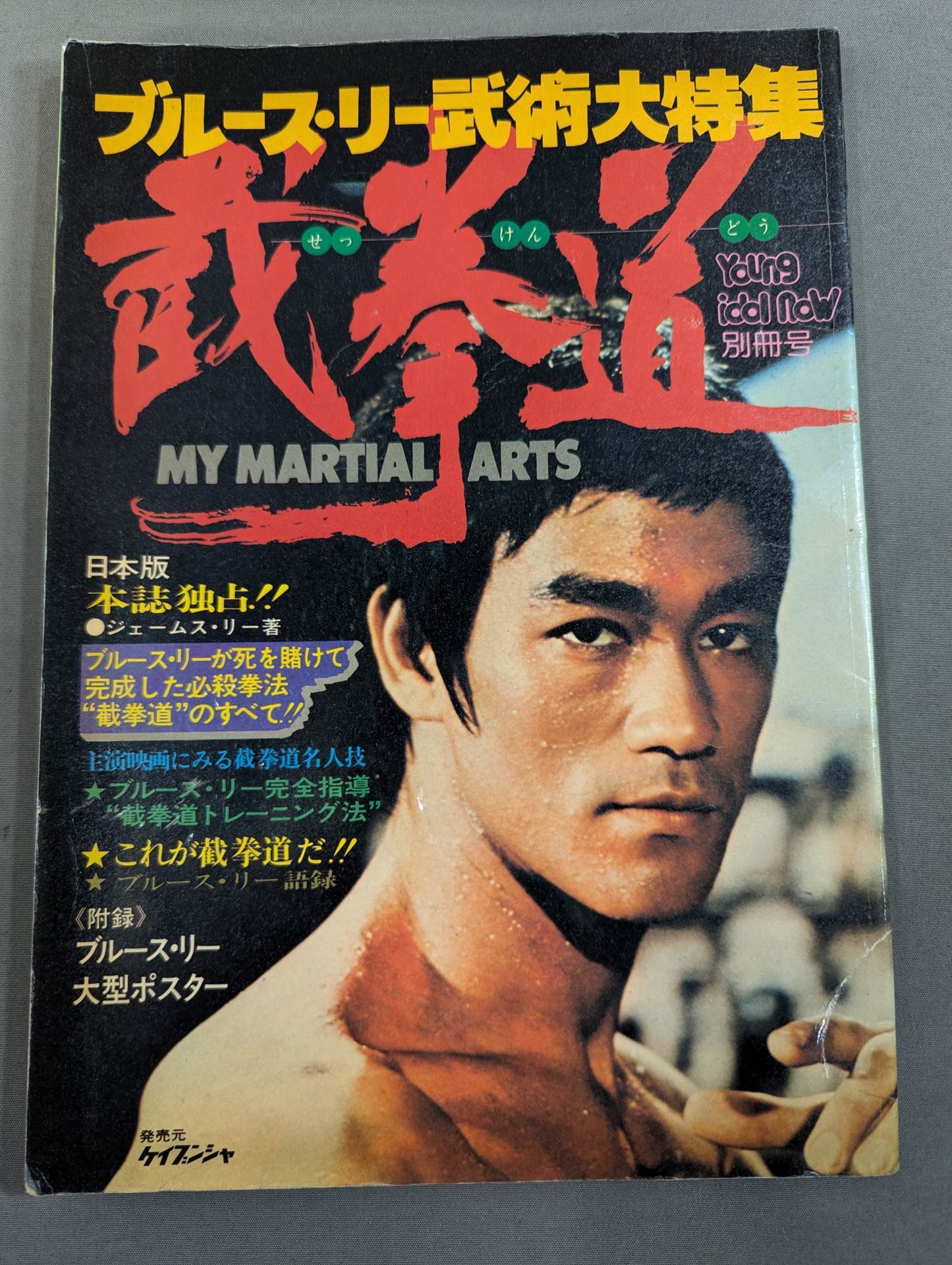 截拳道への道 | ブルース リー, 奥田 祐士 |本 | 通販 | Amazon