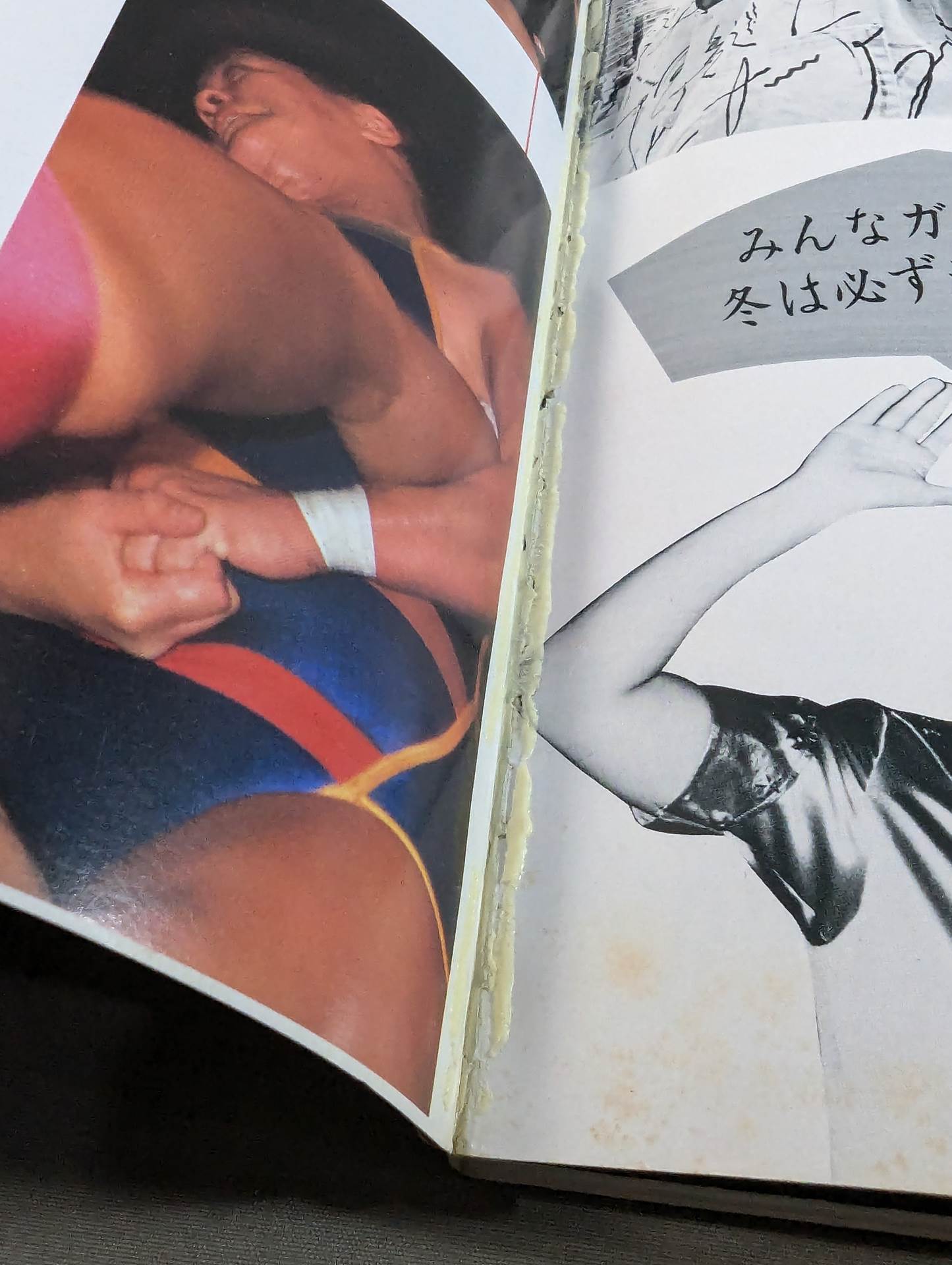 女子プロレス3【決定版】まいったかコノヤローッ!!