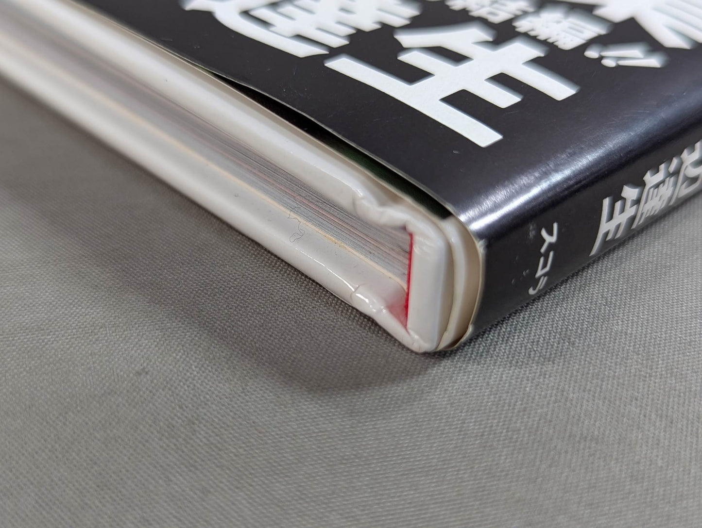 キューティー鈴木 写真集 Cute