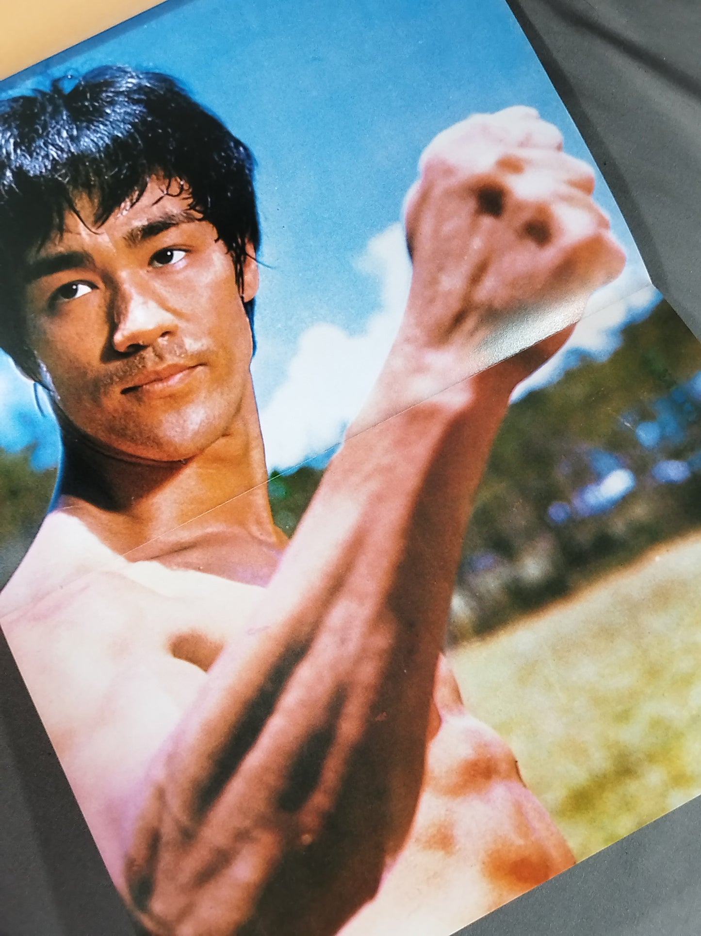 Bruce Lee  Deluxe Color Cinema Album 2