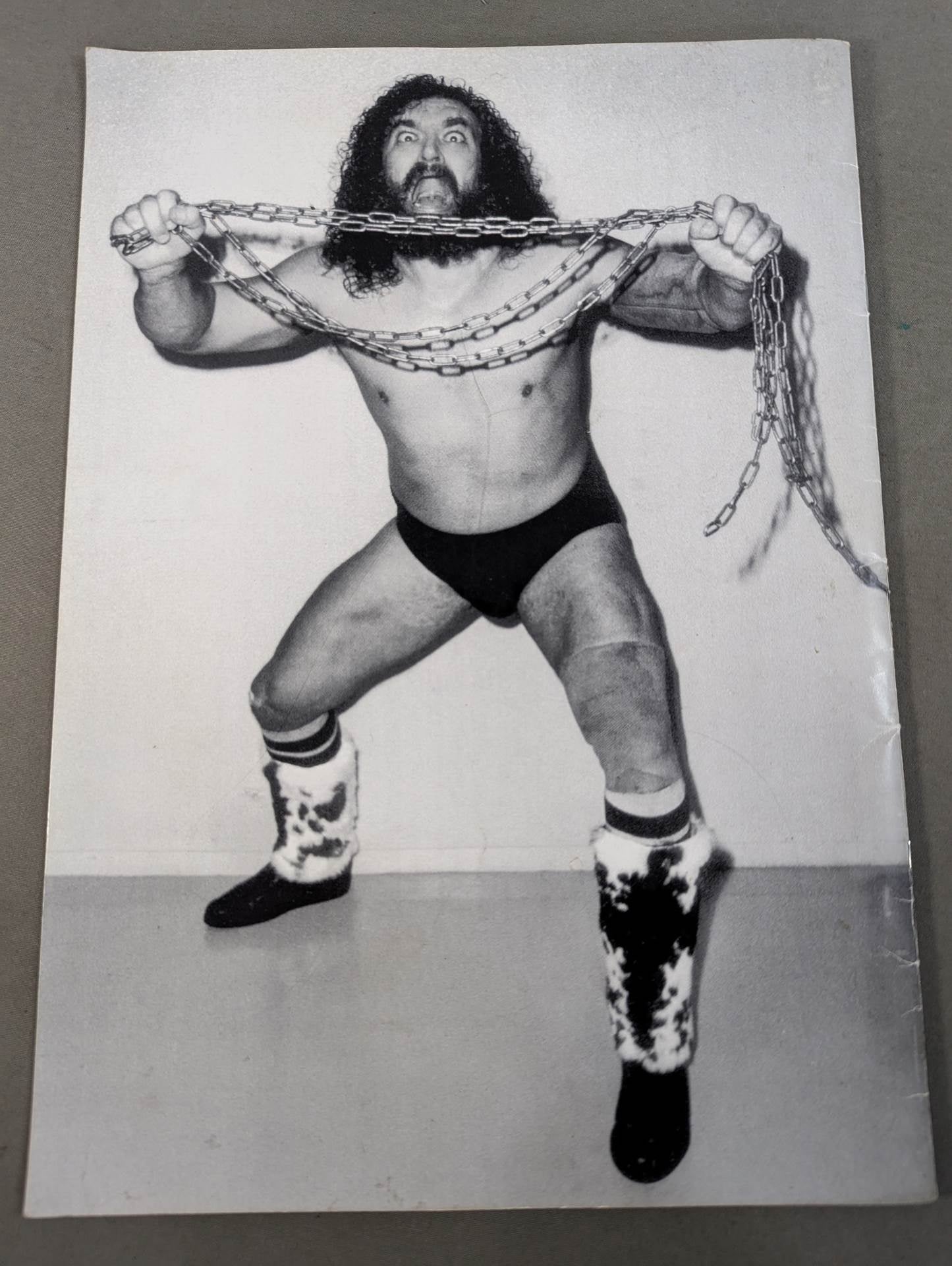 ★イベント記念メモリアルブック★ BRUISER BRODY MEMORIAL BOOK