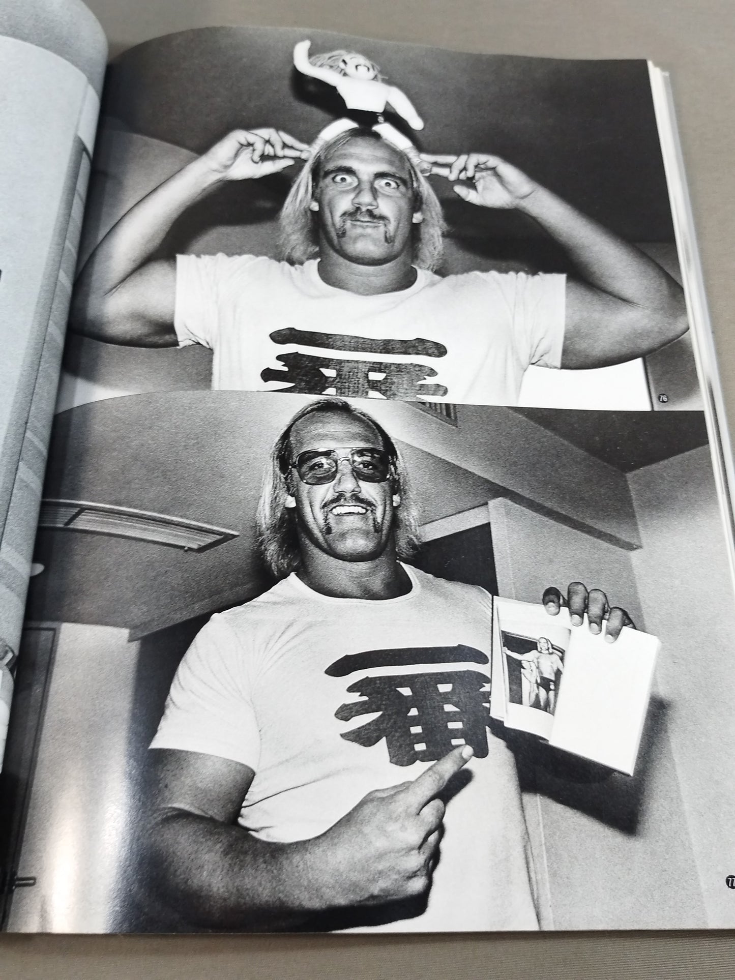 The Wrestler, Its Light and Shadow, Kind-hearted Murderers