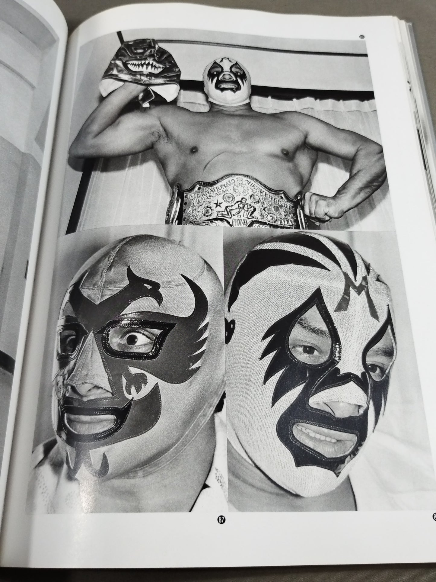 The Wrestler, Its Light and Shadow, Kind-hearted Murderers