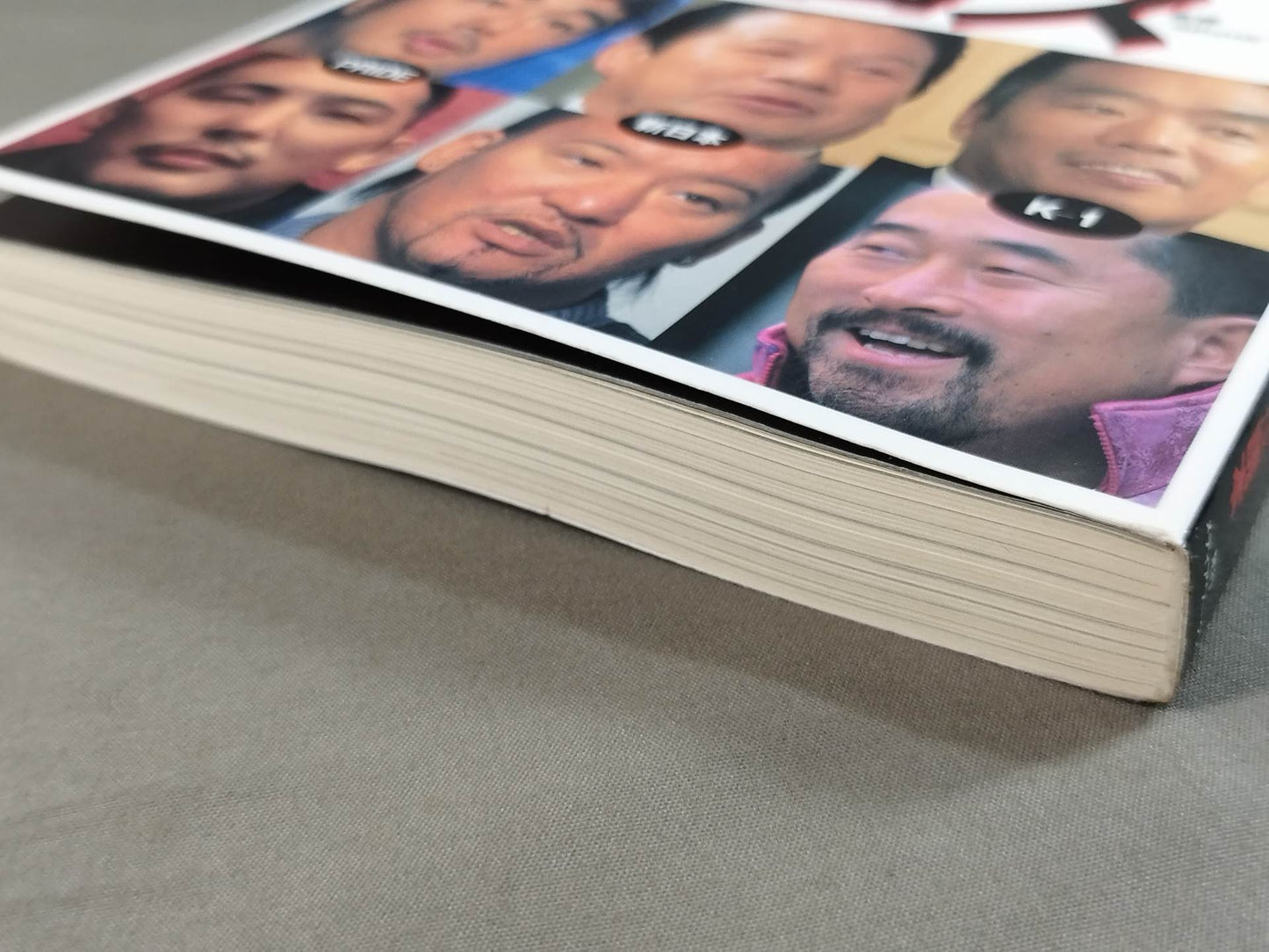Triple Cross Dengeki Pro Wrestling = Martial Arts Reading Book