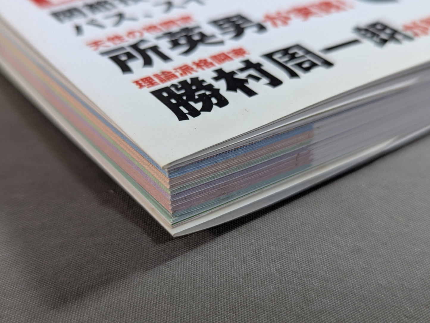 極め方のコツがわかる! 総合格闘技入門