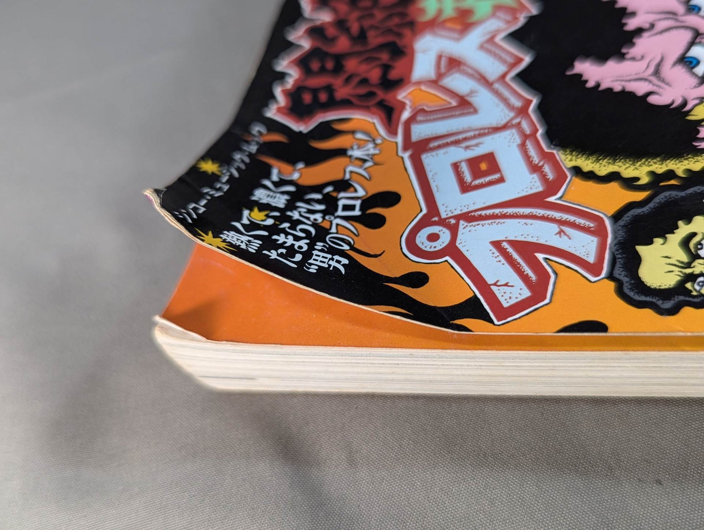 Agony! Pro Wrestling Treasure Museum Vol.1
