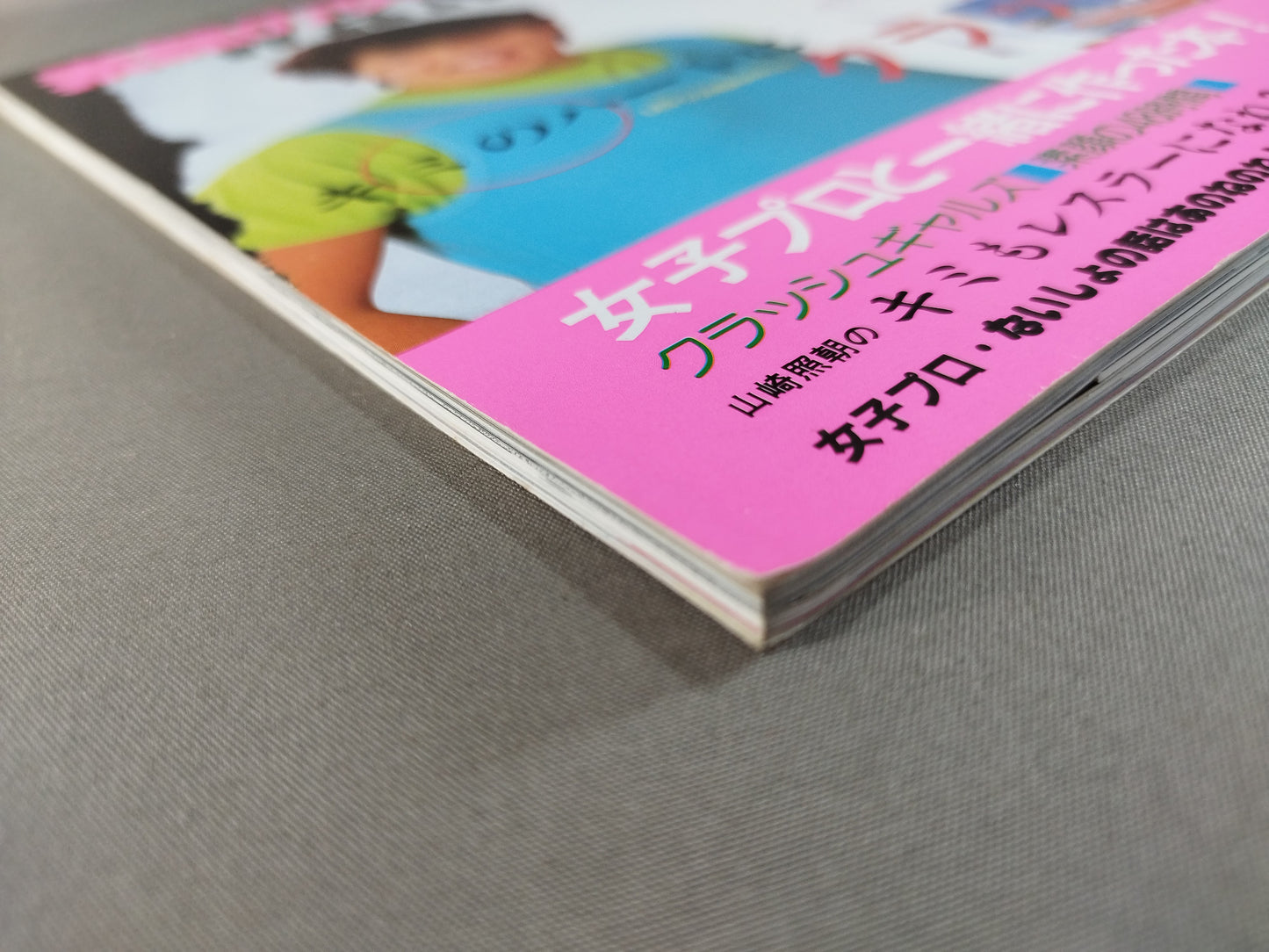 素顔の女子プロレス 女子プロと一緒に作った本