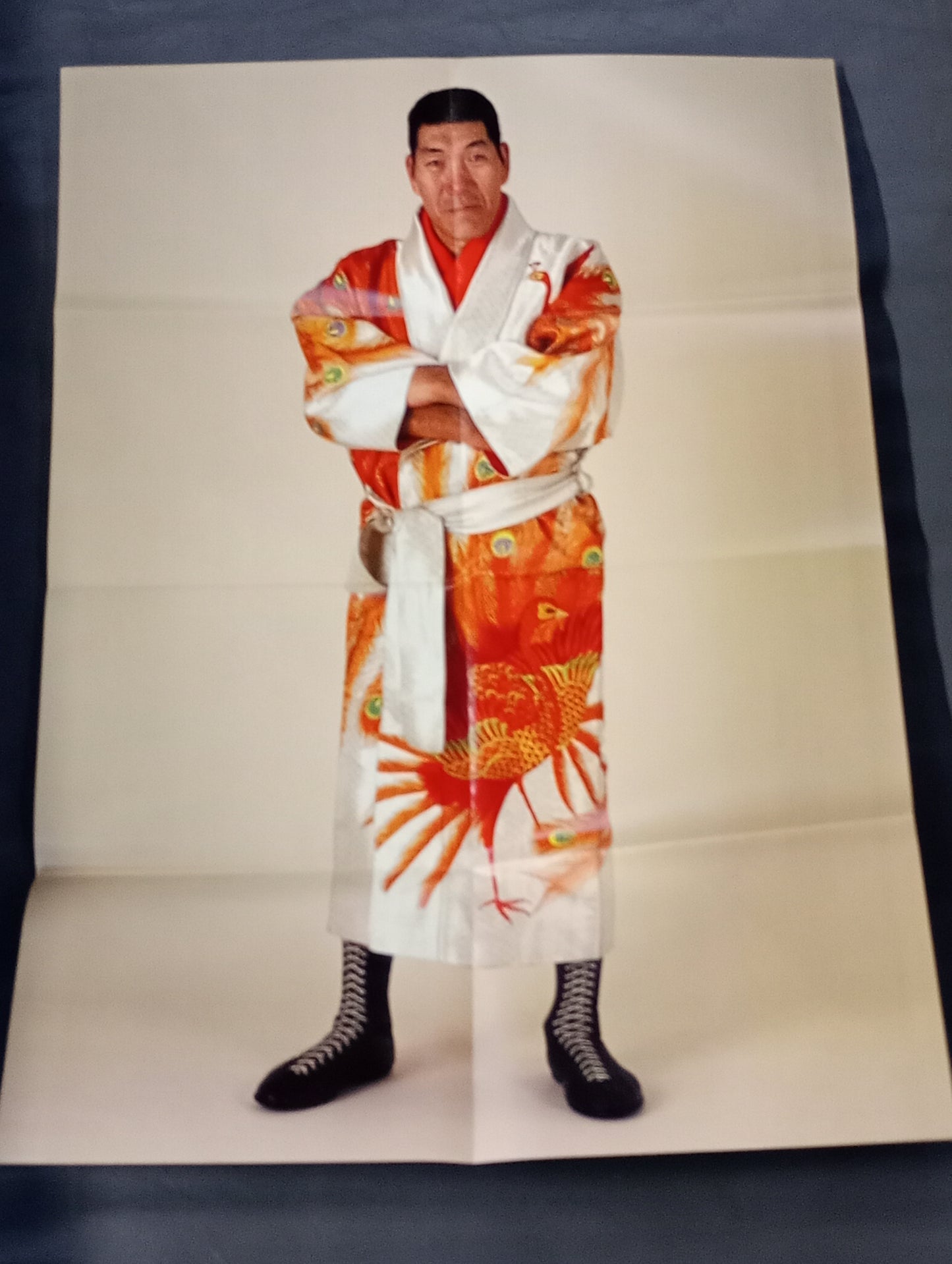 Giant Baba 20th Memorial A1 Poster Magazine
