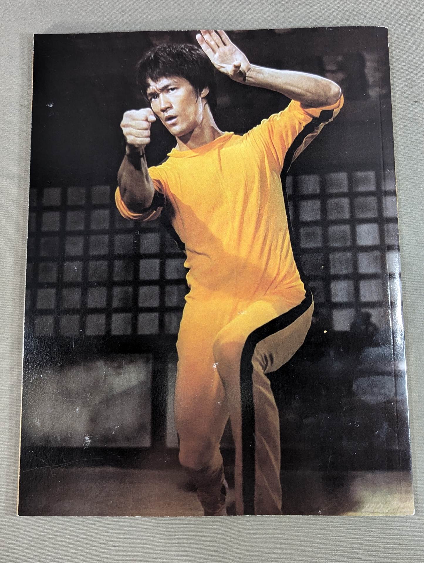 OFFICIAL COLLECTOR’S EDITION BRUCE LEE VOL.5