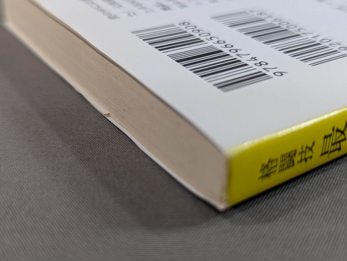 Behind the scenes of the martial arts strongest ring