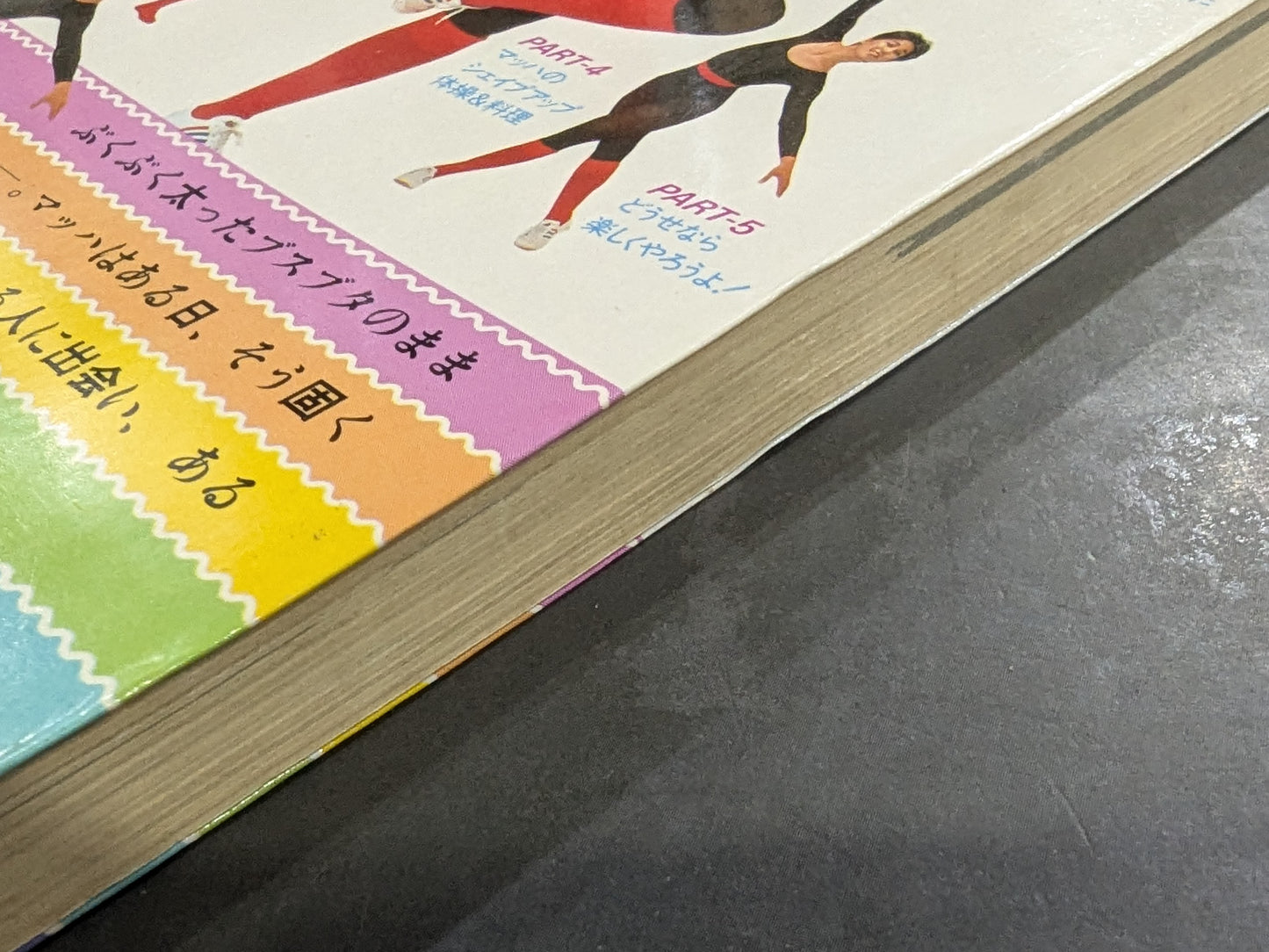 マッハ式 やせてびっくり! 私はこうして20キロやせた