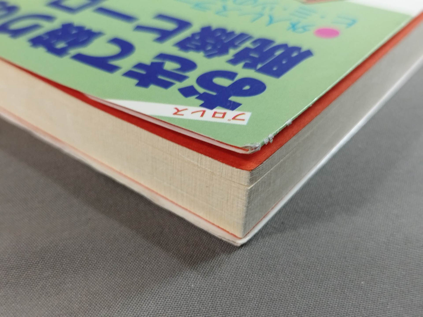 Pro Wrestling : Derailed Heroes