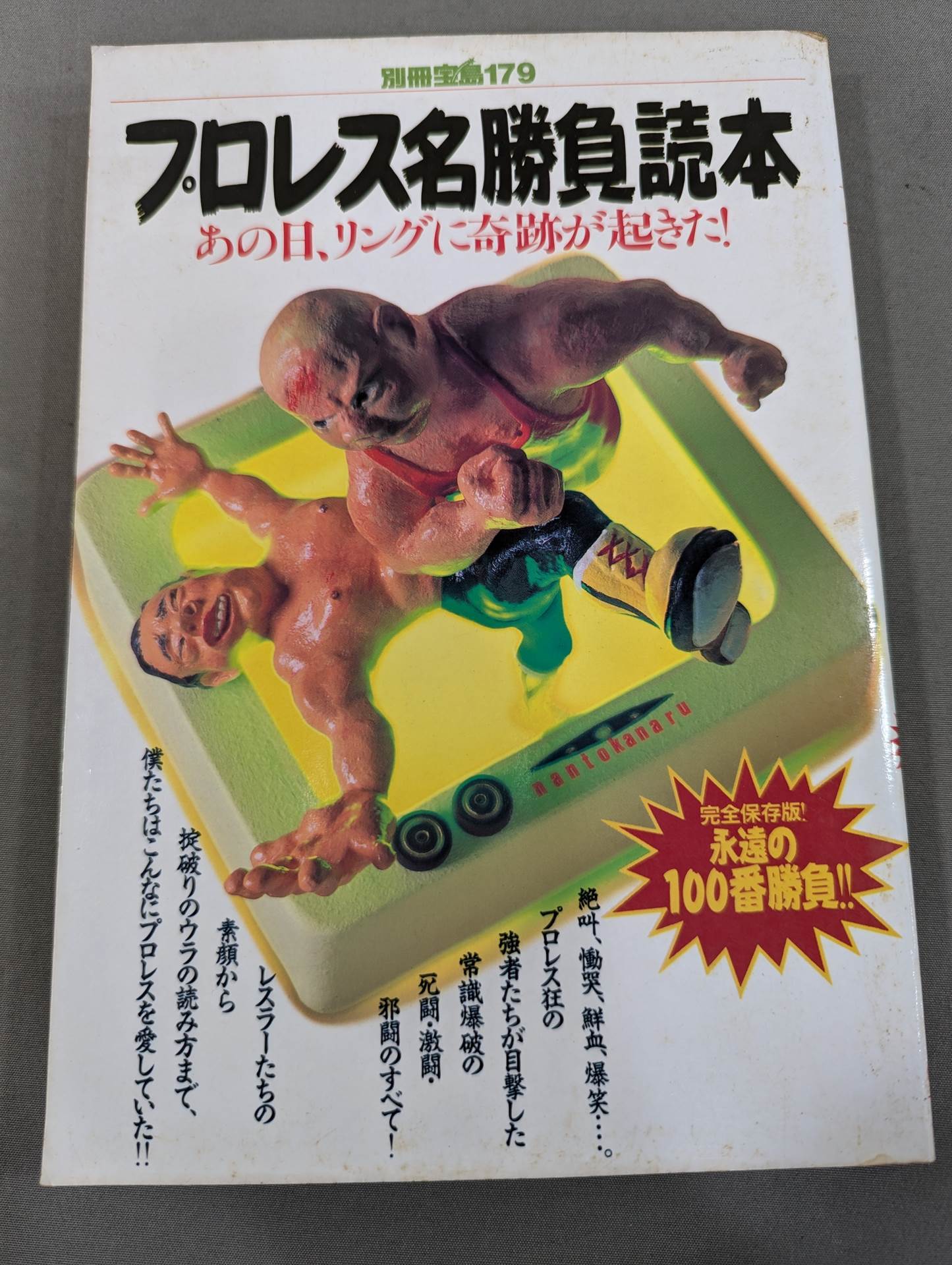 Bessatsu Takarajima 179 Pro Wrestling Famous Game Reader Complete Preservation Edition Eternal 100th Match!!