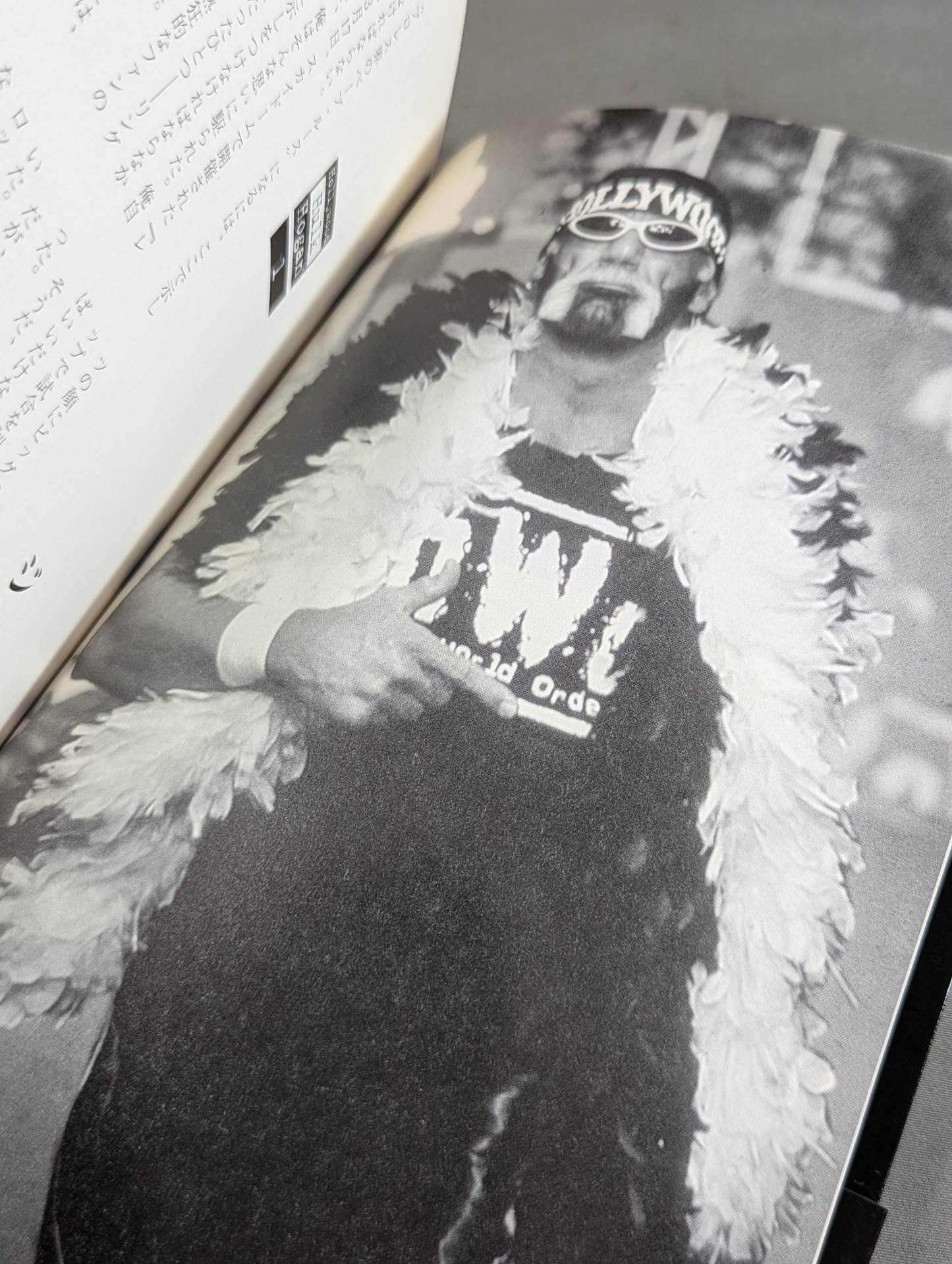 ハルク・ホーガン自伝 Hollywood Hulk Hogan