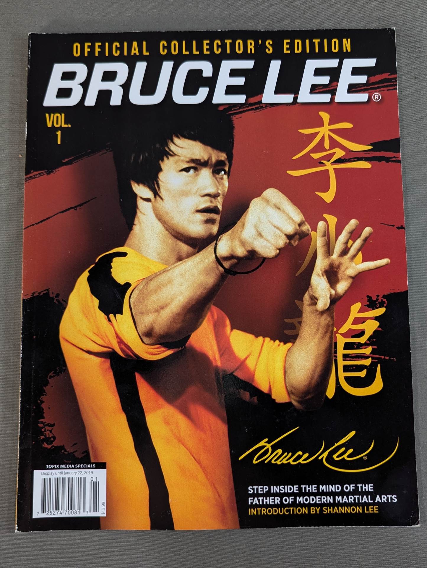 THE BRUCE LEE 15冊セット ジークンドー 護身術 写真集 昭和の本 THE BRUCE LEE 15冊セット ジークンドー 護身術 写真集 昭和の本 本