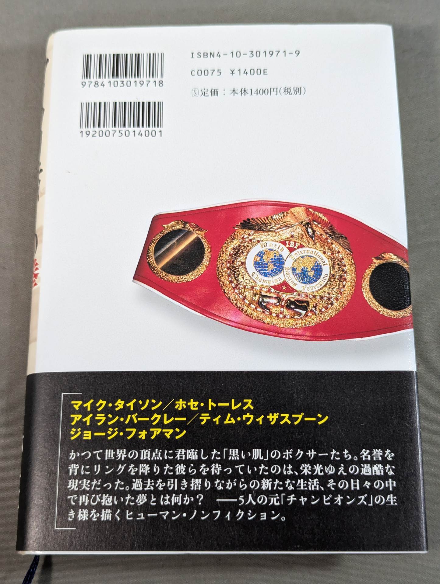 マイノリティーの拳 世界チャンピオンの光と闇