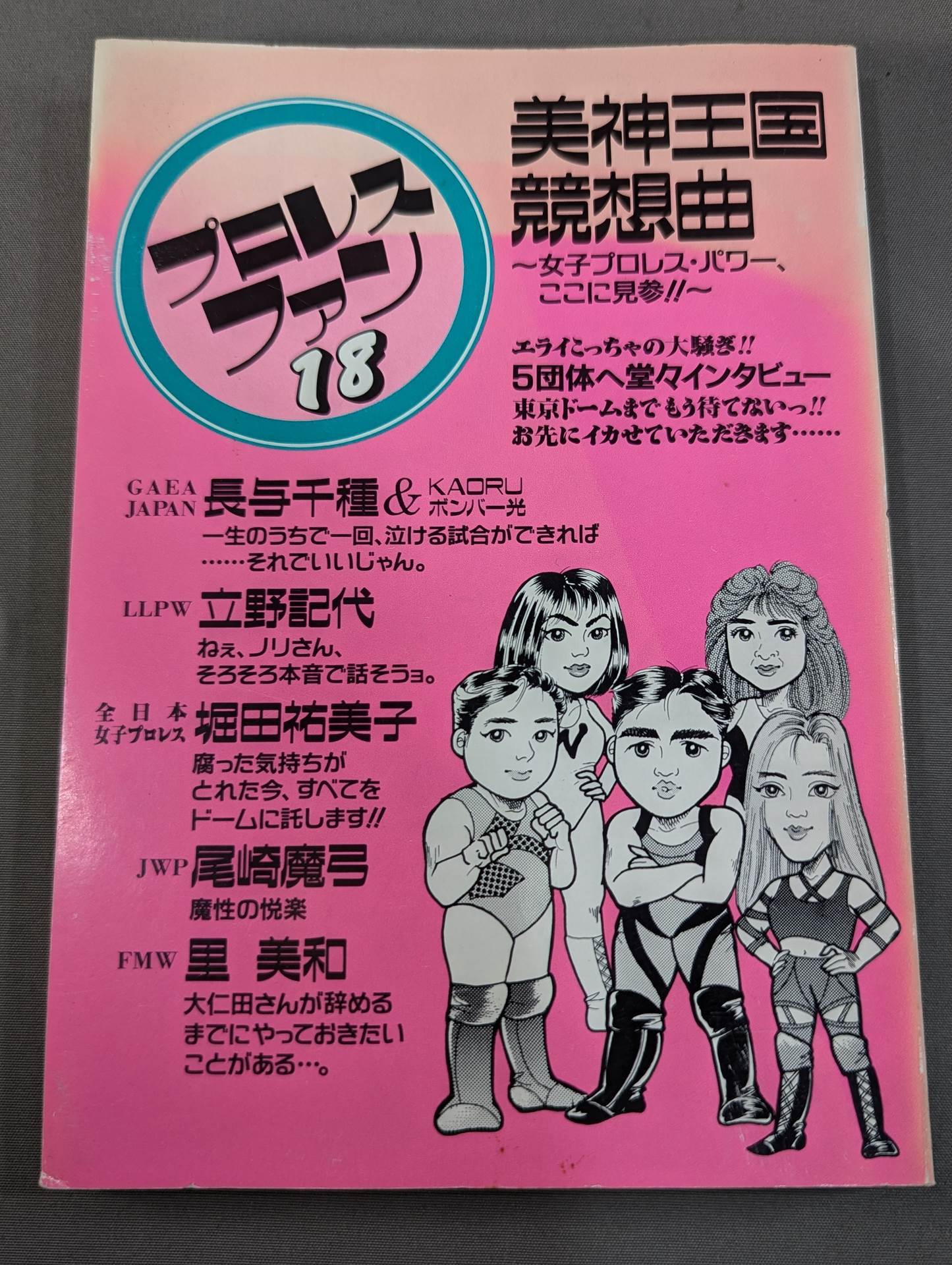 プロレス・ファン18