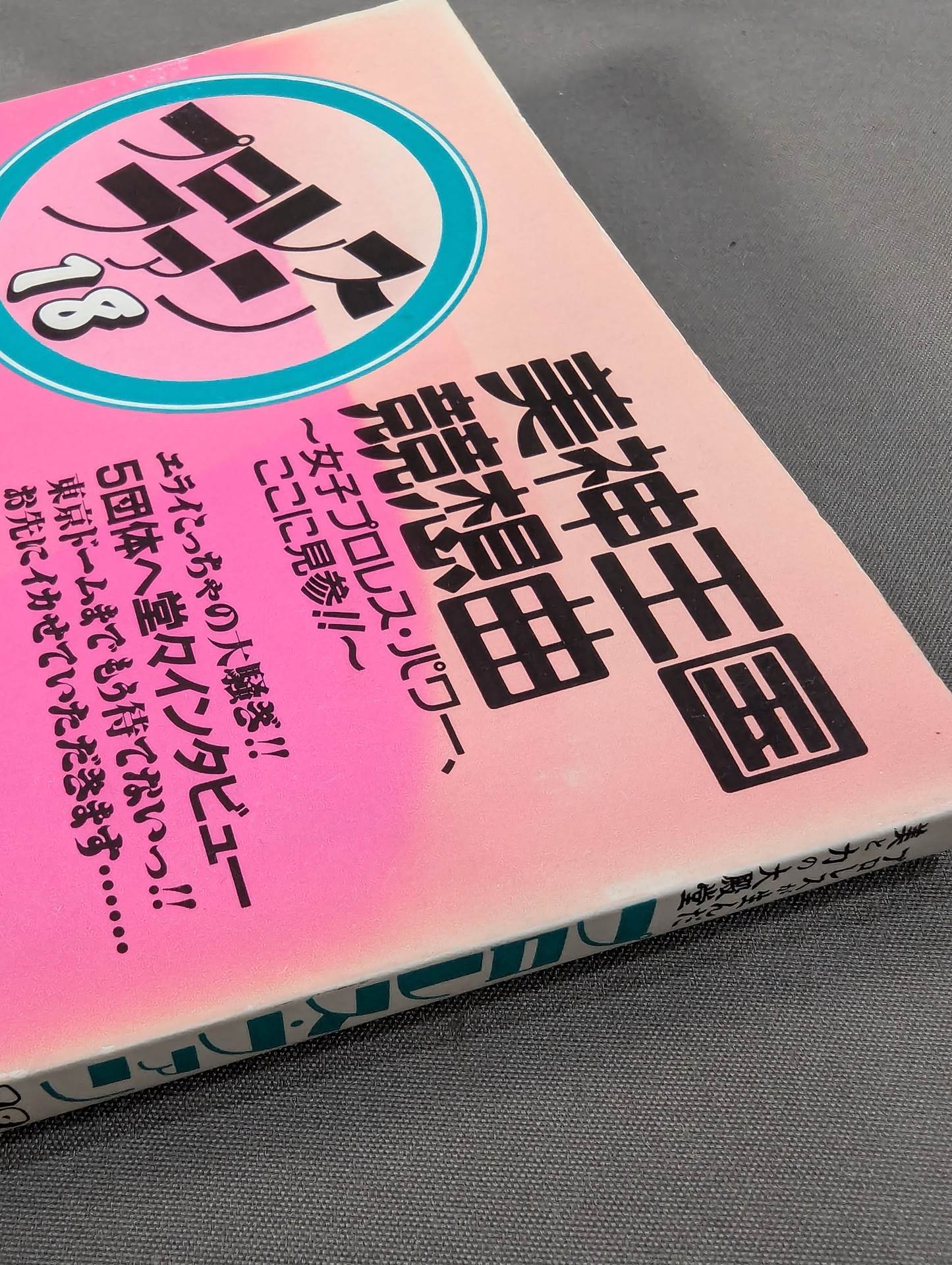 プロレス・ファン18