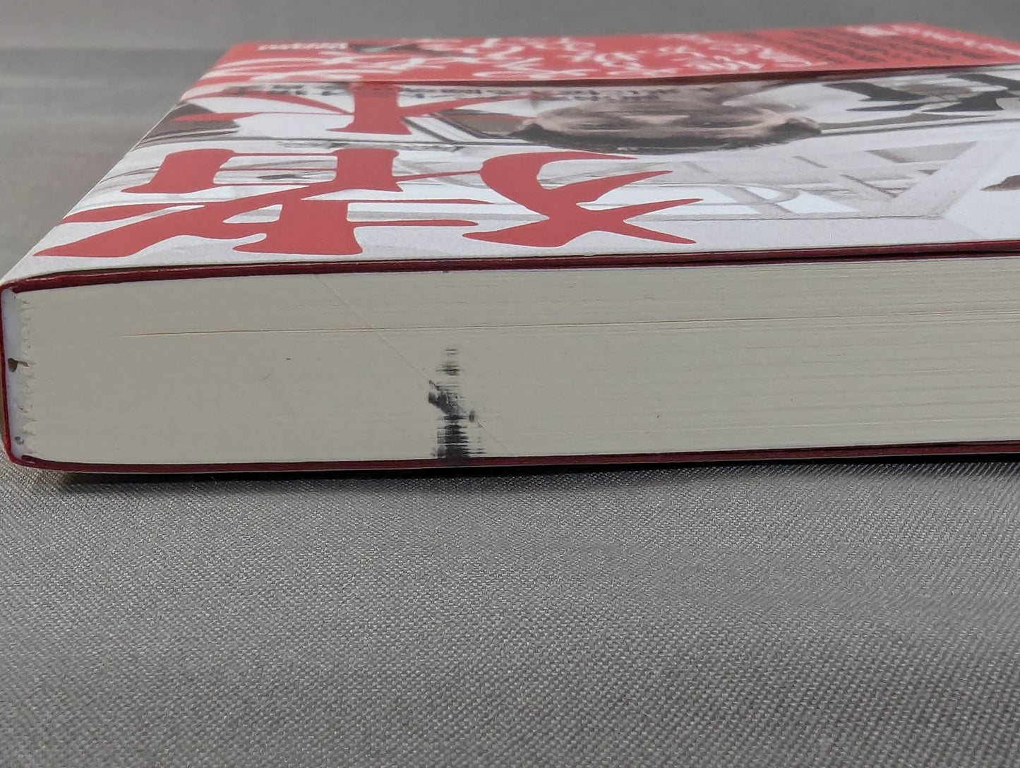 Inoki Michi Politician Antonio Inoki : The whole truth of the fighting spirit to the future