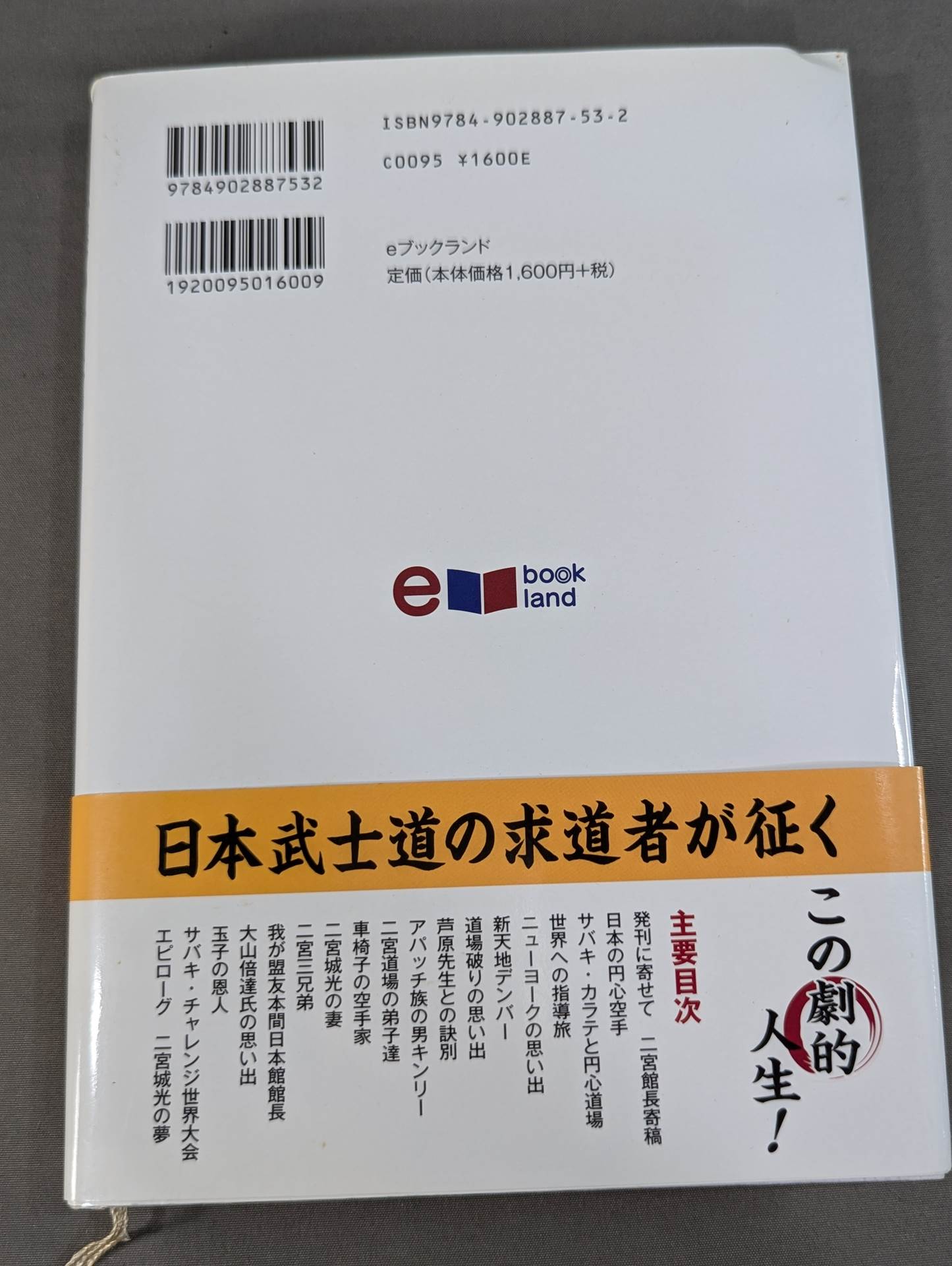 平成の宮本武蔵 二宮城光