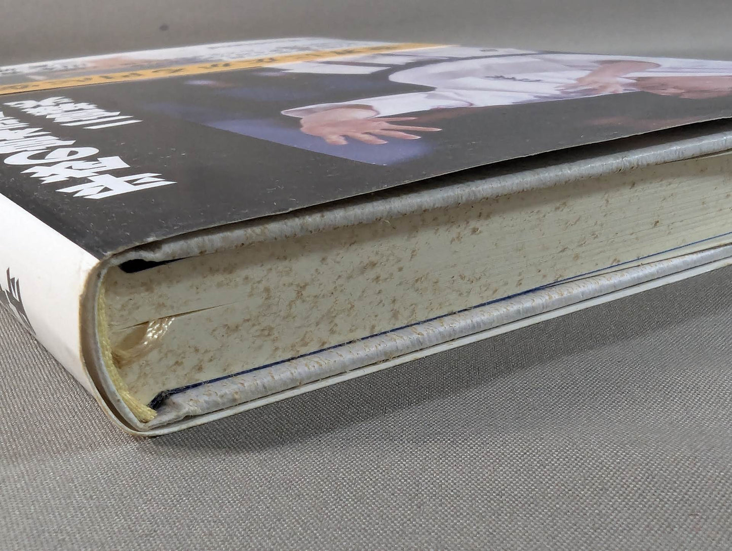 平成の宮本武蔵 二宮城光